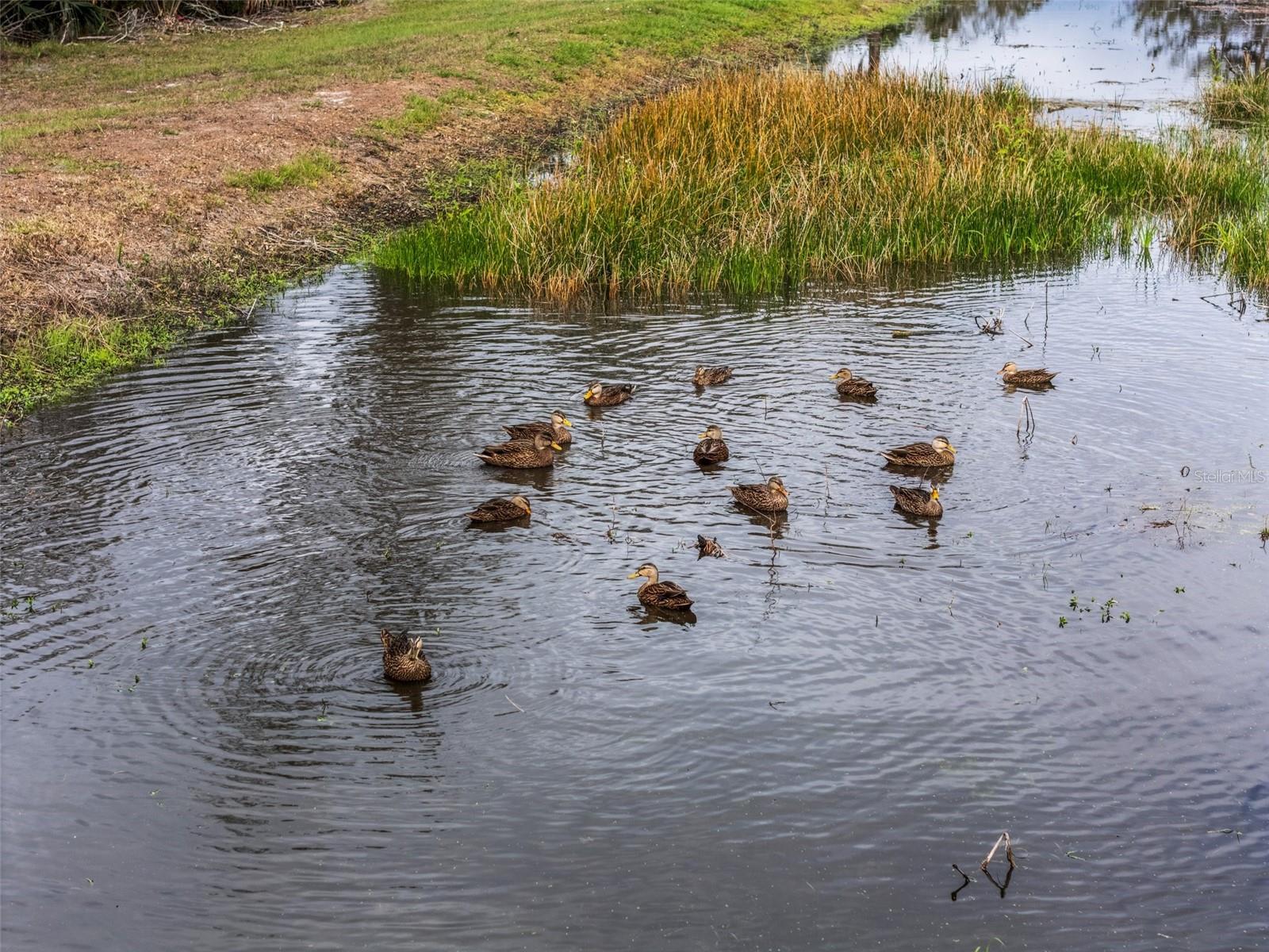 8619 FIREFLY PL, PARRISH, FL, 34219