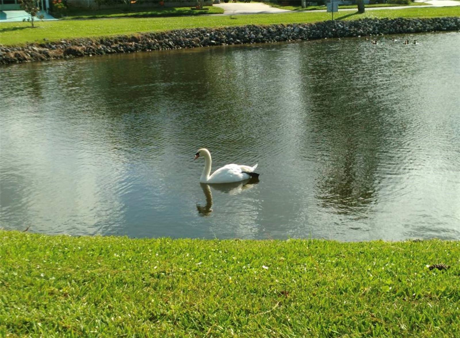 TB8353347 Property Photo