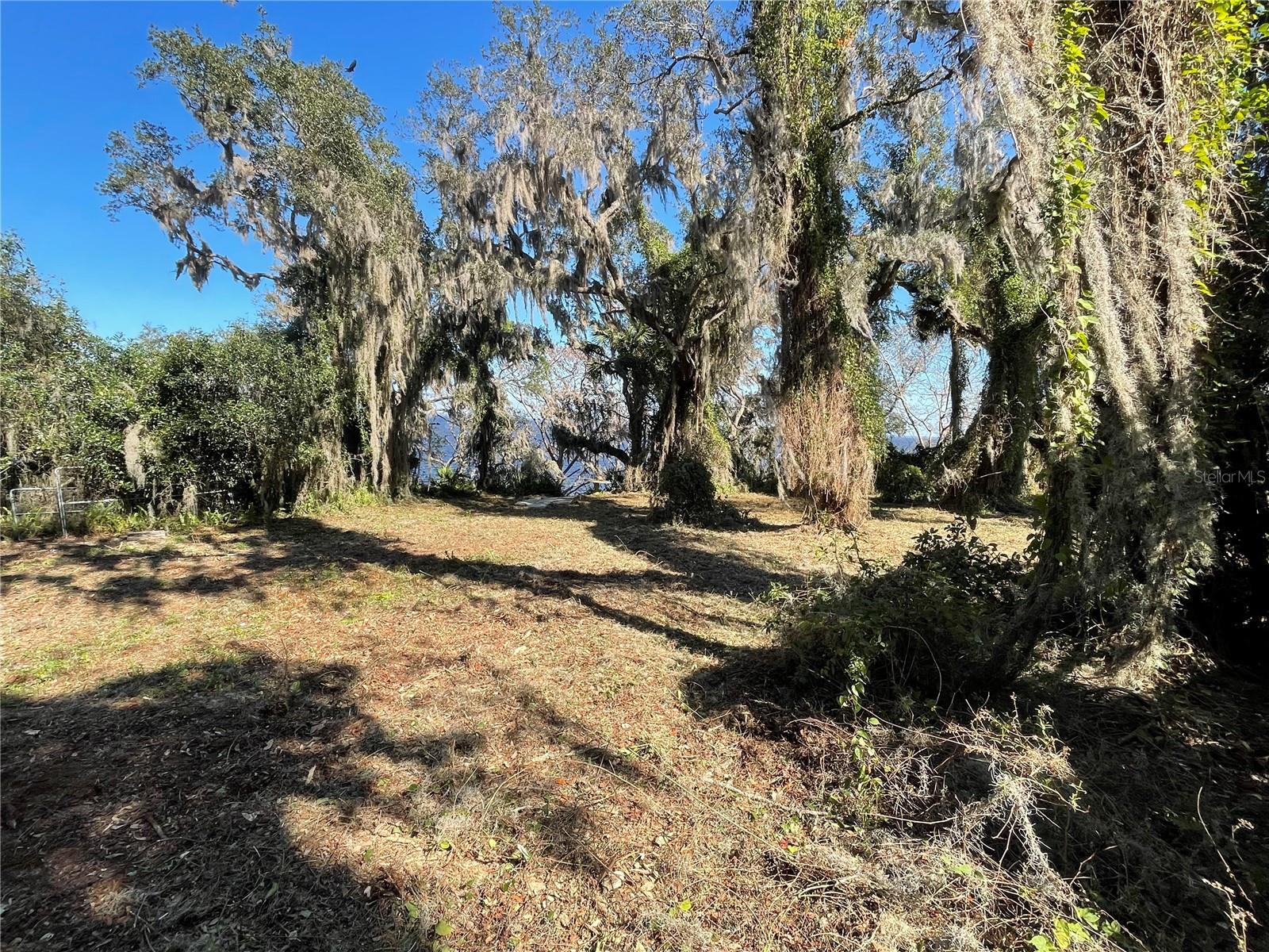 NE 310TH AVE, FORT MC COY, FL, 32134