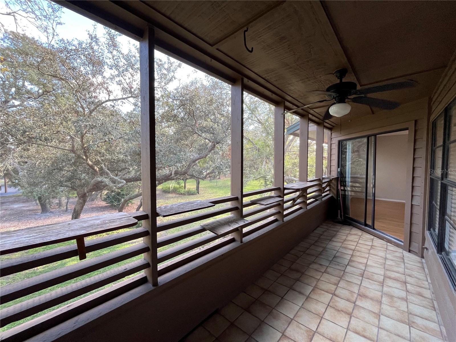 2406 CYPRESS POND RD #2406, PALM HARBOR, FL, 34683