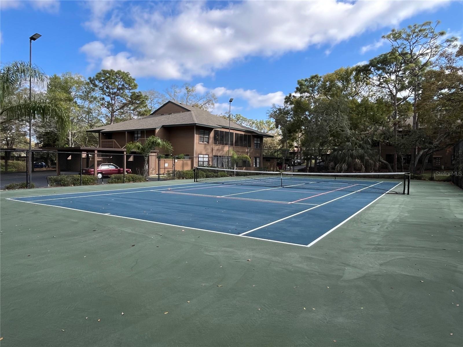 2406 CYPRESS POND RD #2406, PALM HARBOR, FL, 34683