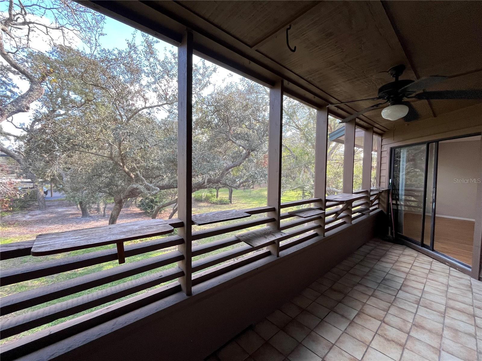 2406 CYPRESS POND RD #2406, PALM HARBOR, FL, 34683