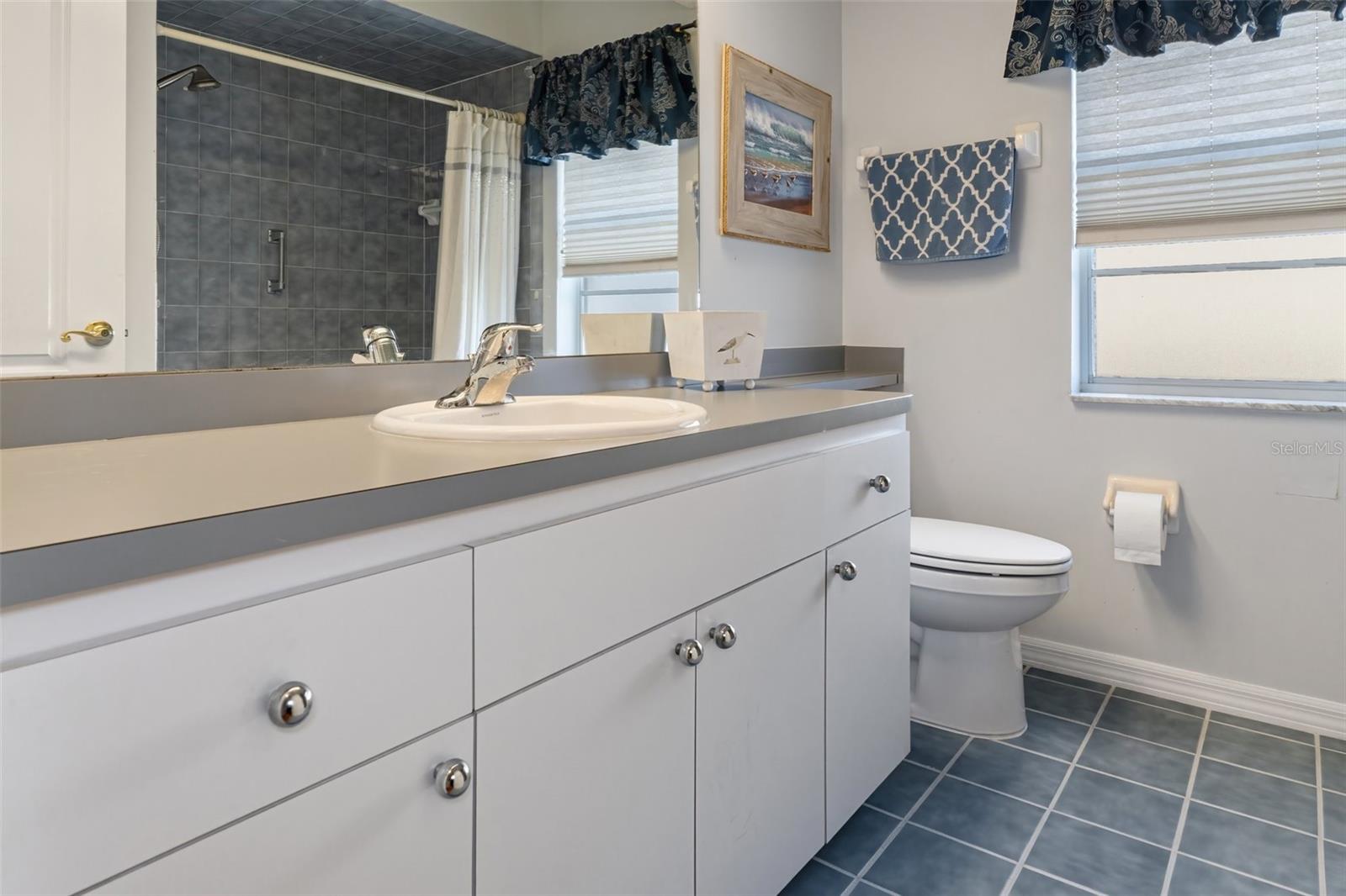 3606 DOW LN, SPRING HILL, FL, 34609