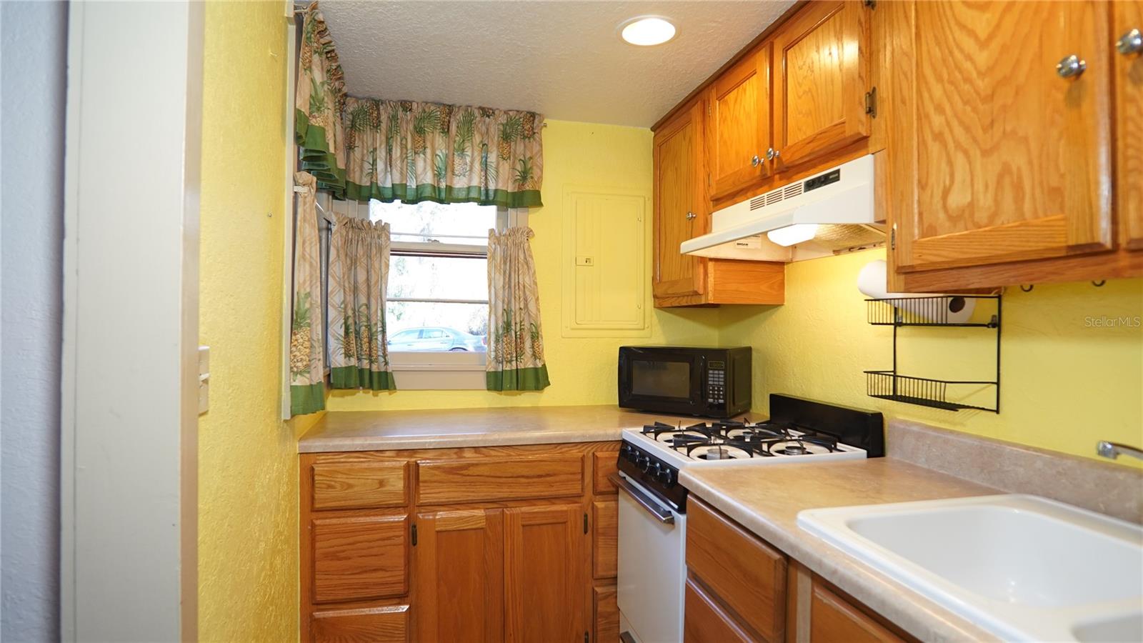 7043 LANG ST, BROOKSVILLE, FL, 34601