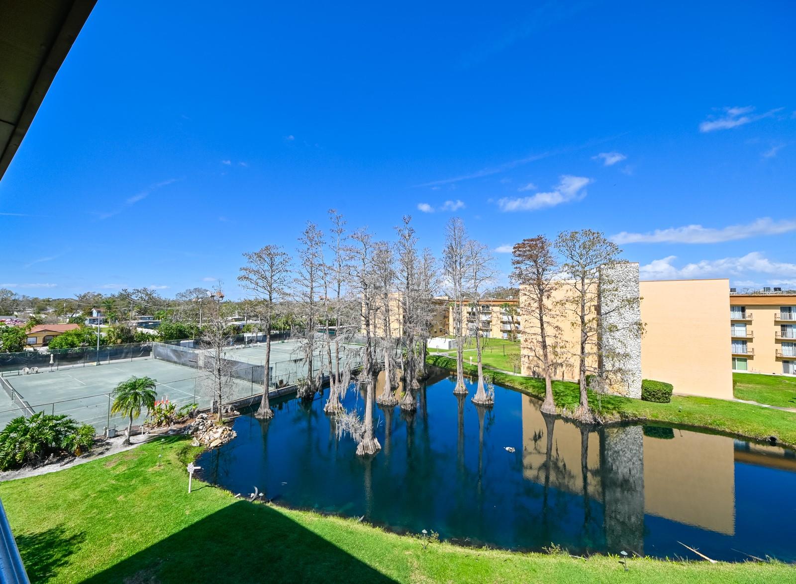 5820 N CHURCH AVE #430, TAMPA, FL, 33614