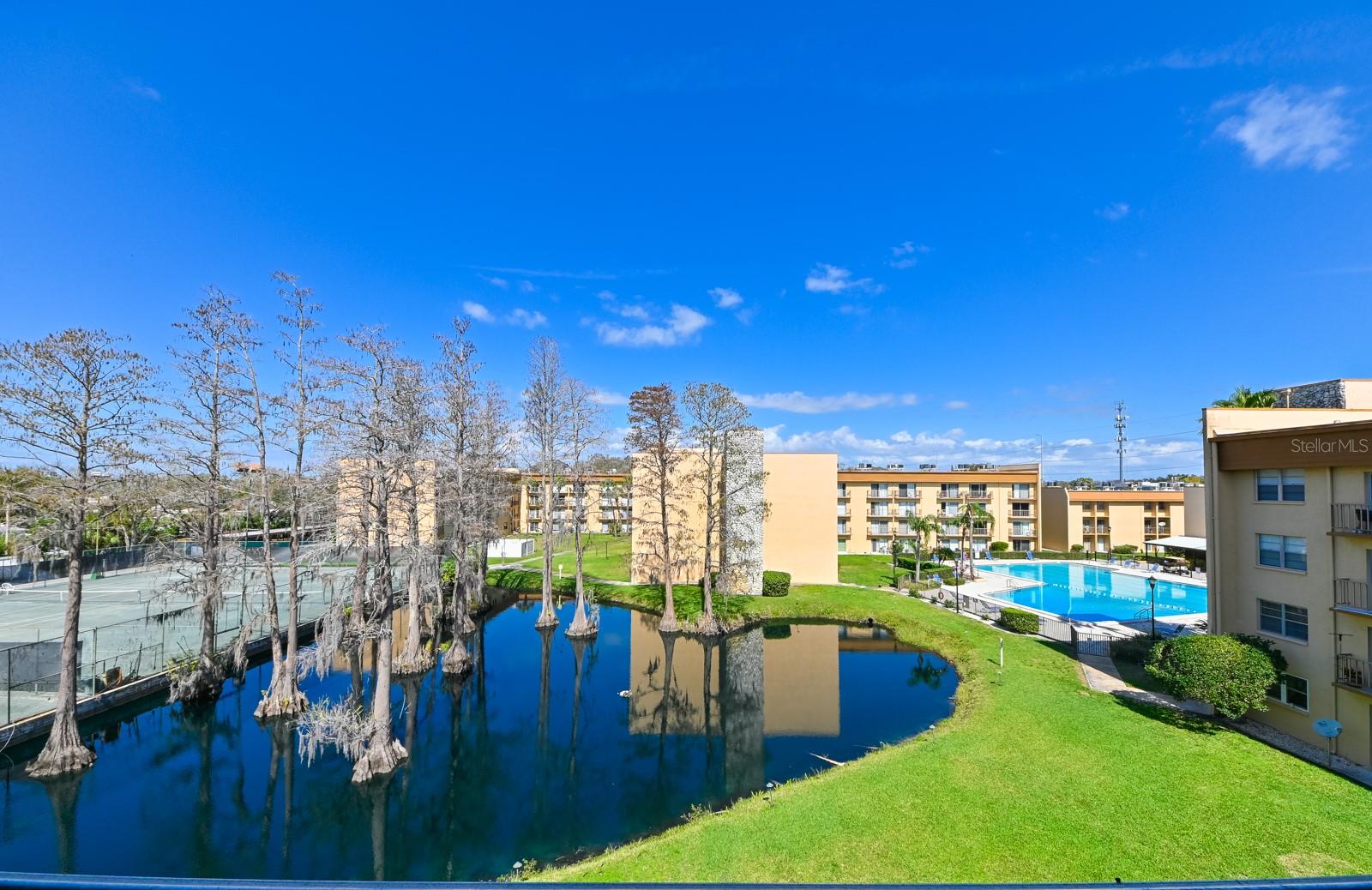 5820 N CHURCH AVE #430, TAMPA, FL, 33614