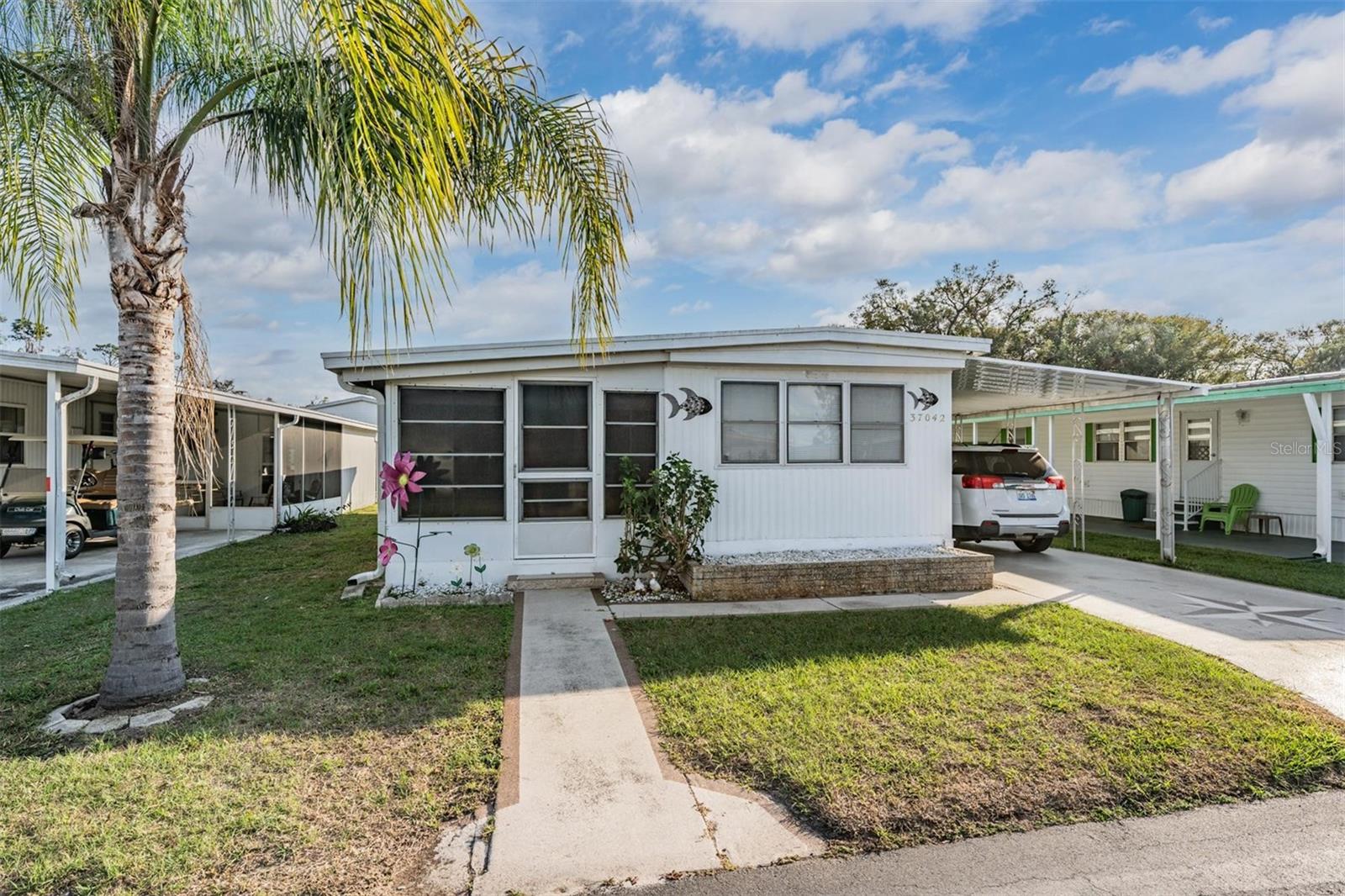 37042 LOIS AVE, ZEPHYRHILLS, FL, 33542