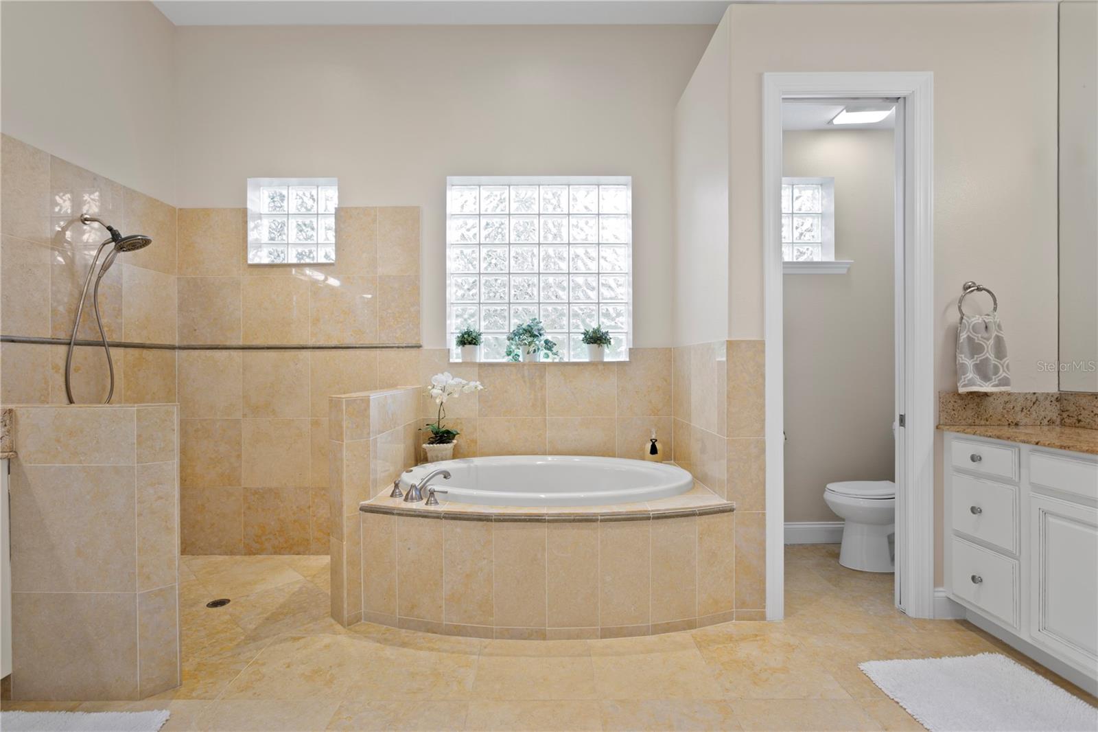 603 VIENTO DE AVILA, TAMPA, FL, 33613