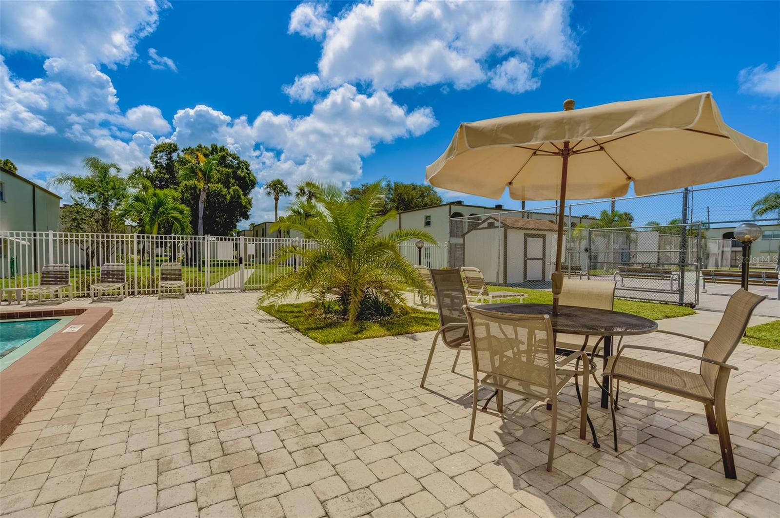 7701 STARKEY RD #208, SEMINOLE, FL, 33777