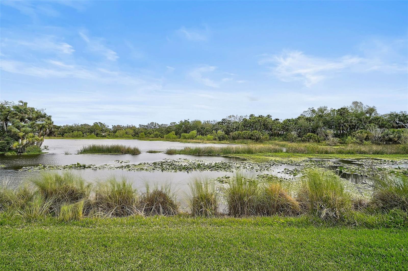 11050 SANDHILL PRESERVE DR, SARASOTA, FL, 34238