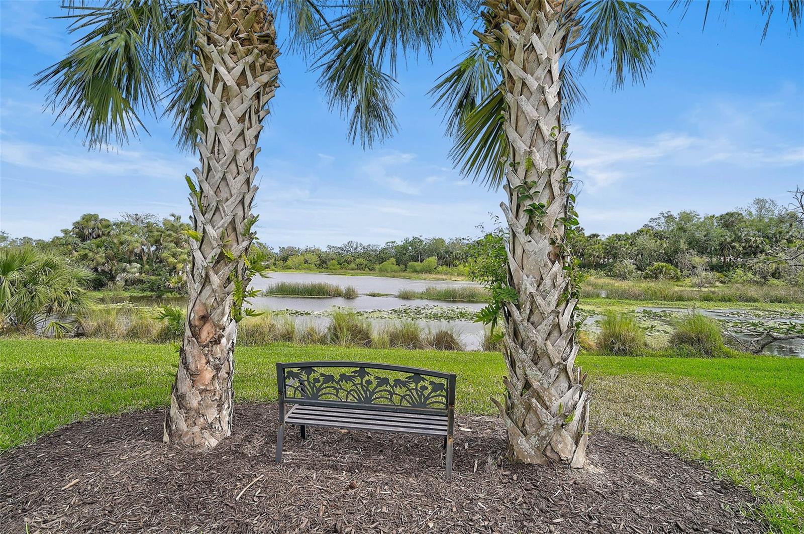 11050 SANDHILL PRESERVE DR, SARASOTA, FL, 34238