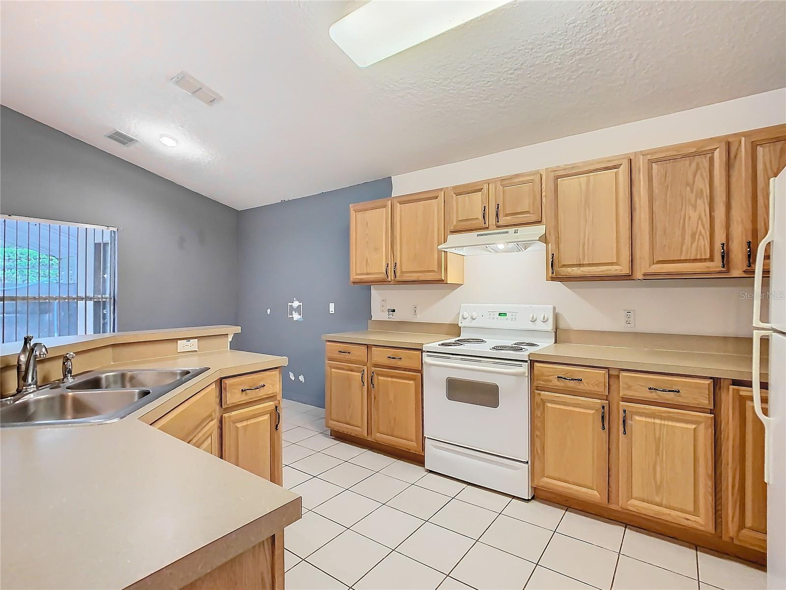 1007 BALMORAL DR, DAVENPORT, FL, 33896