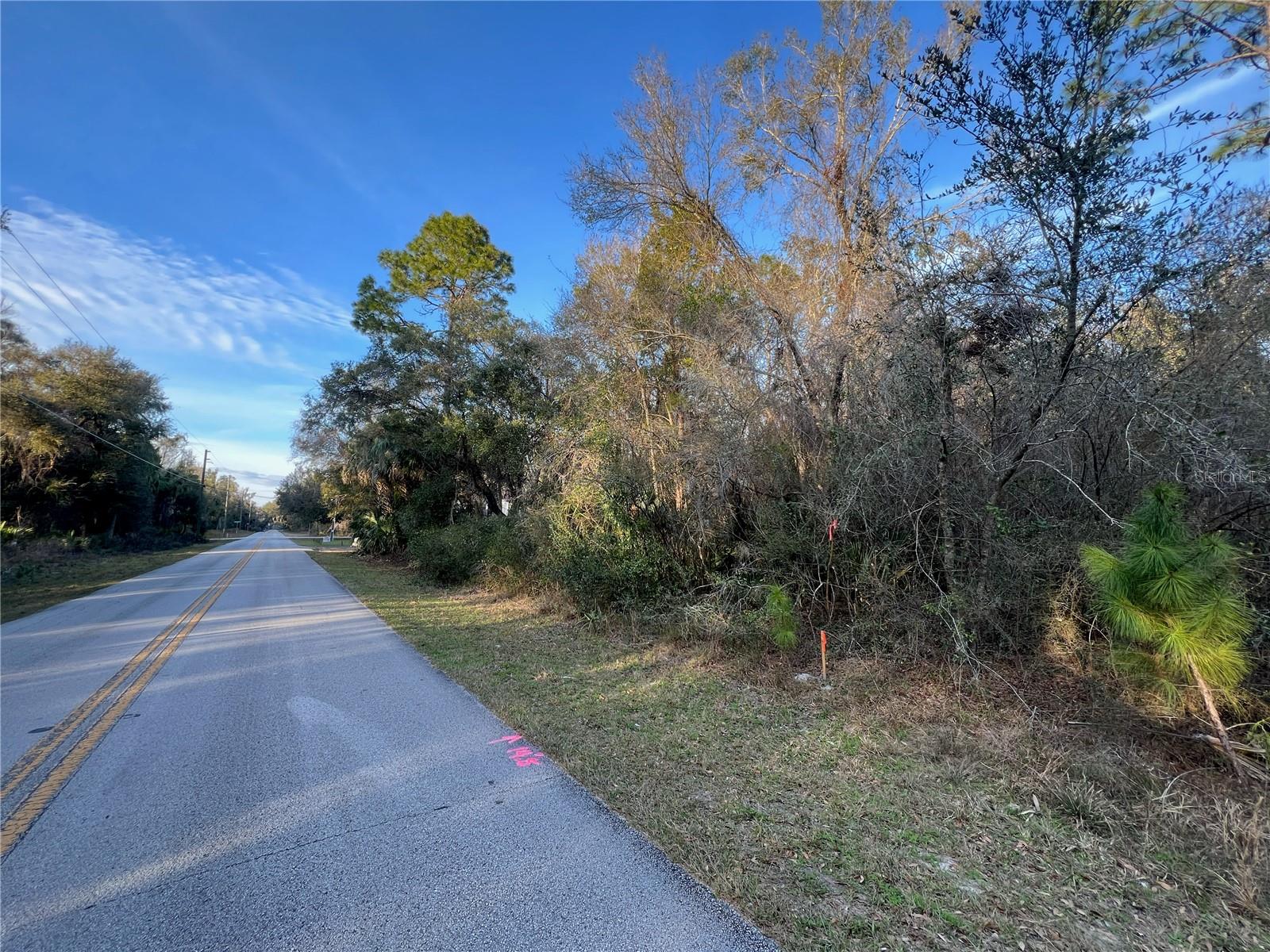 8523 N BASSWOOD AVE, CRYSTAL RIVER, FL, 34428