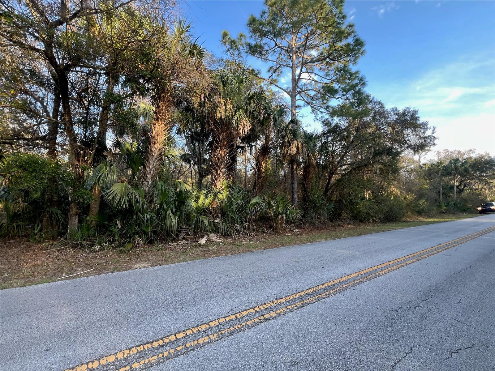 8523 N BASSWOOD AVE, CRYSTAL RIVER, FL, 34428