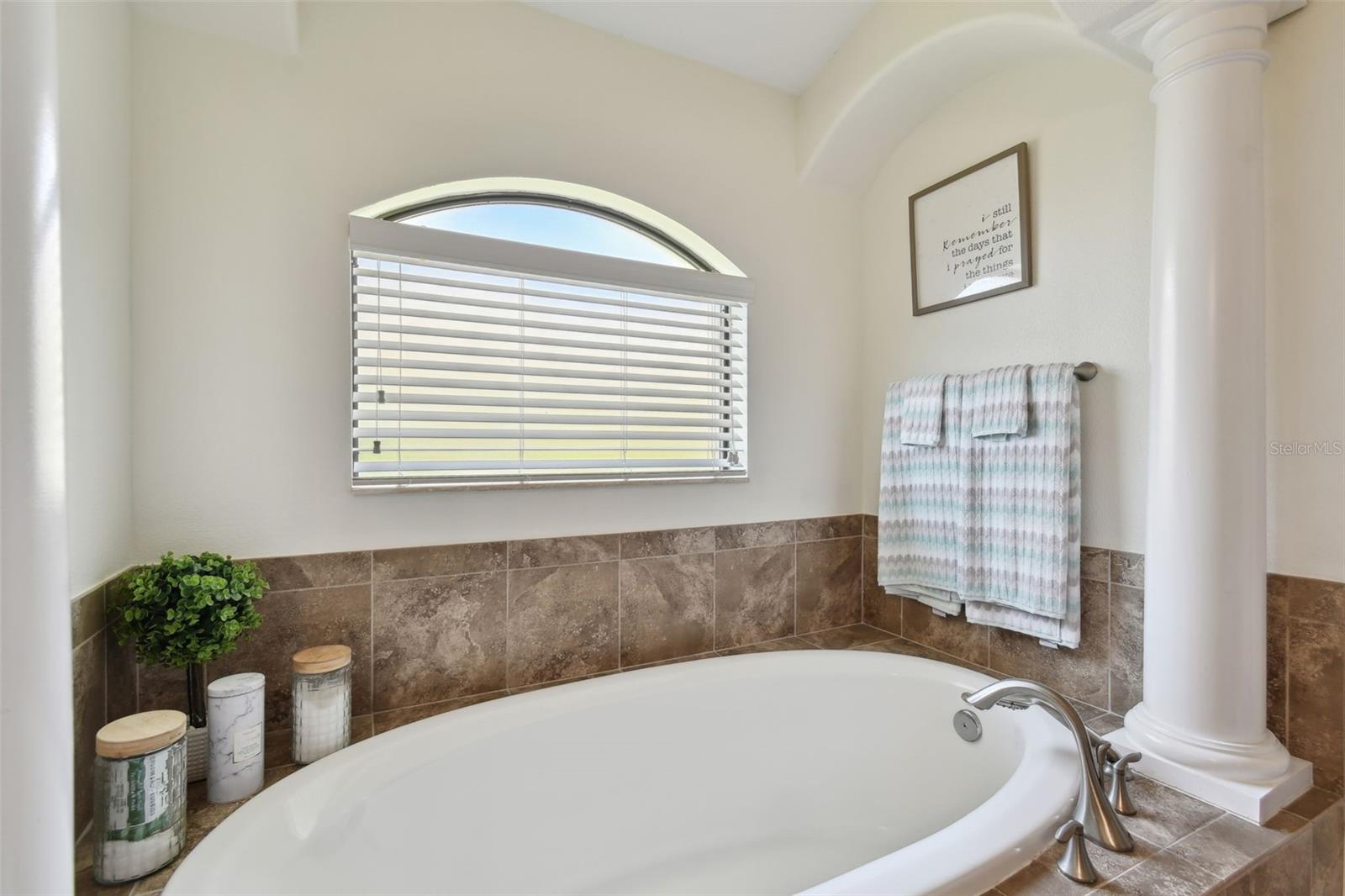 15721 STARLING WATER DR, LITHIA, FL, 33547