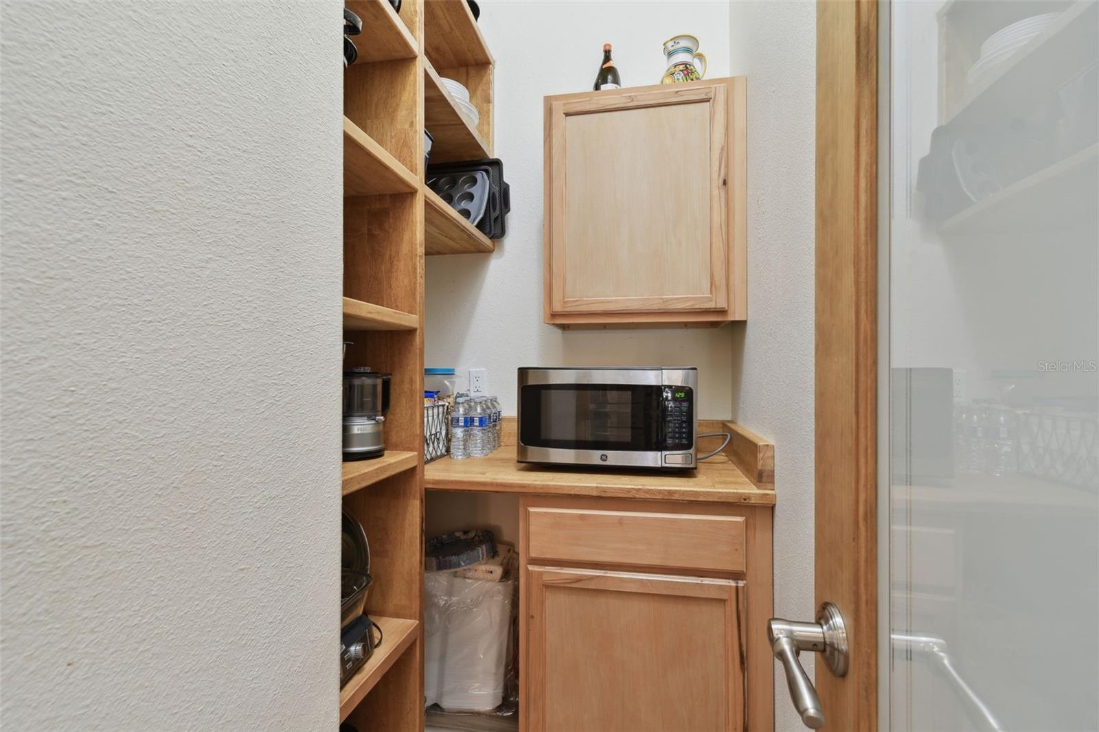 15721 STARLING WATER DR, LITHIA, FL, 33547