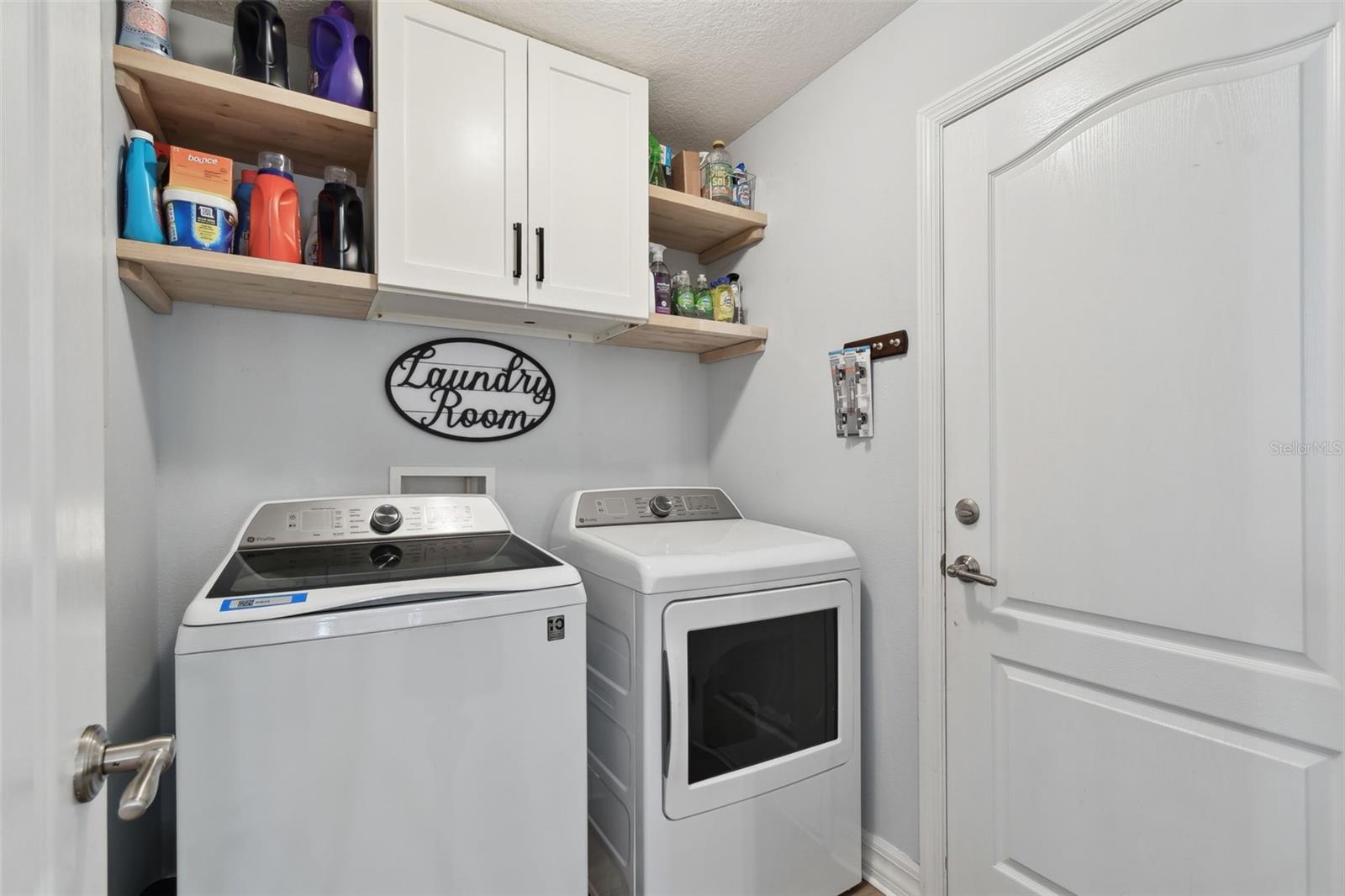 15721 STARLING WATER DR, LITHIA, FL, 33547