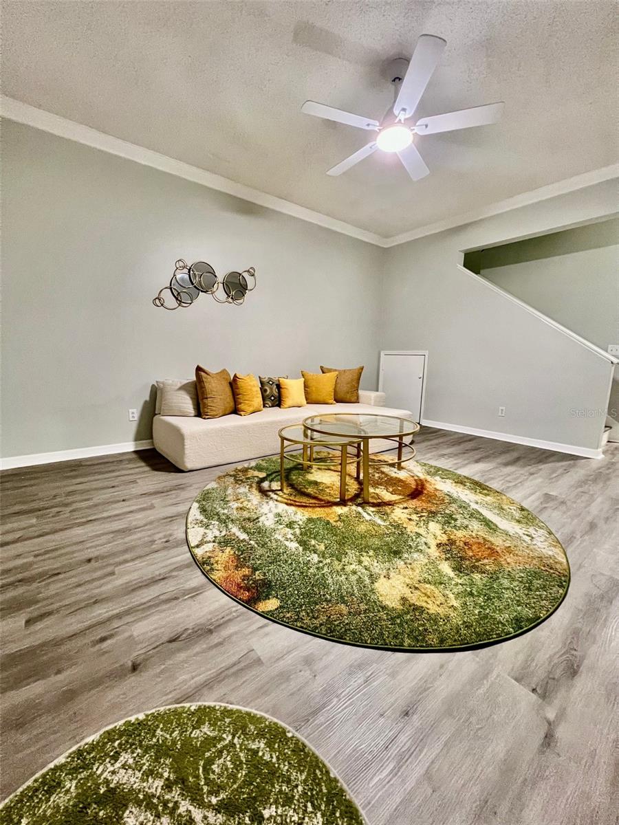 2843 THAXTON DR #34, PALM HARBOR, FL, 34684