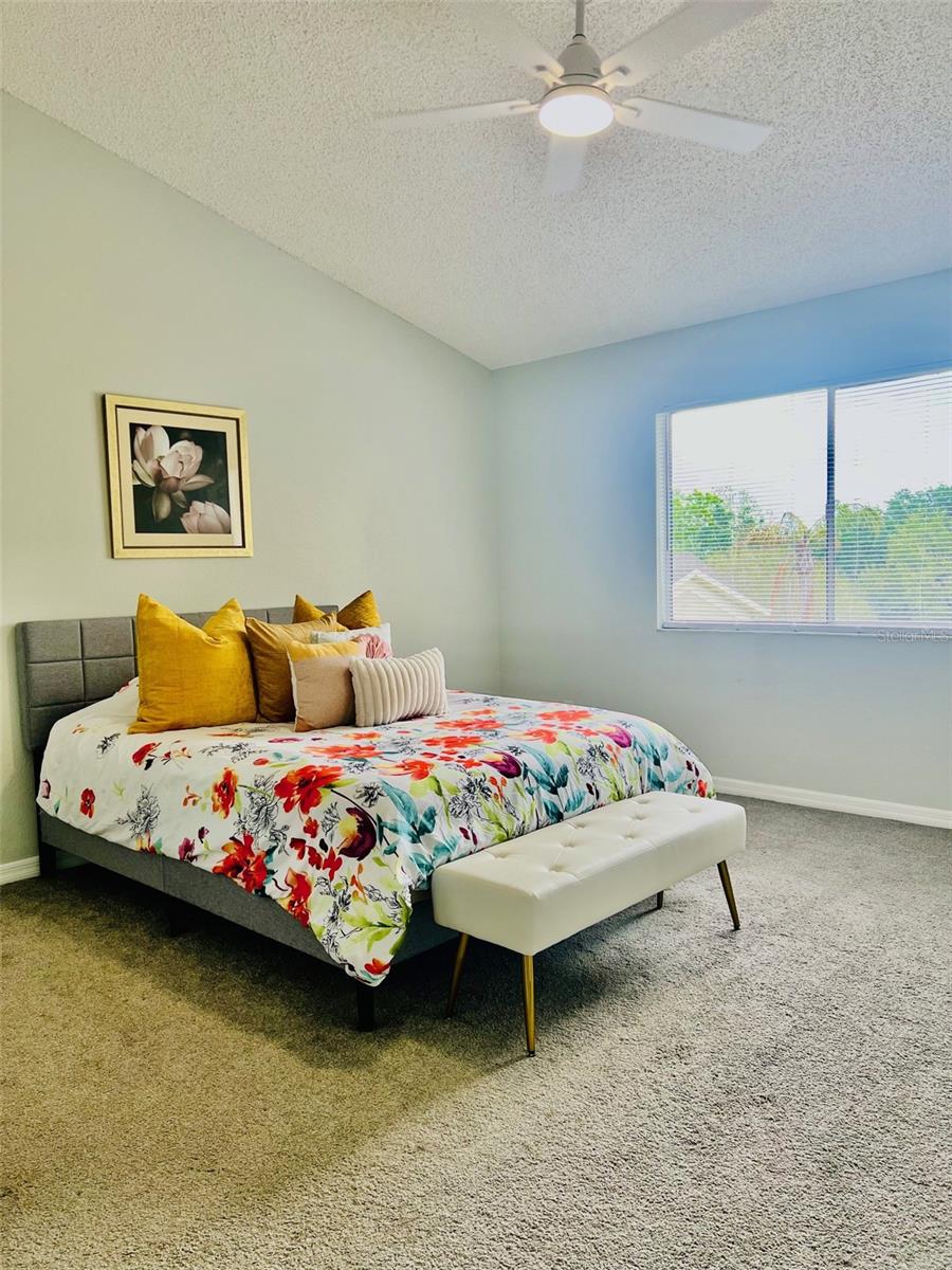 2843 THAXTON DR #34, PALM HARBOR, FL, 34684