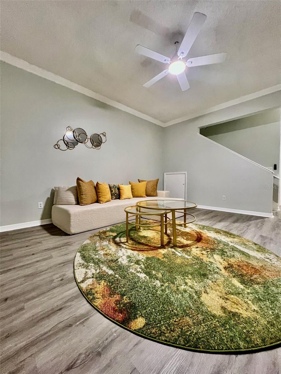 2843 THAXTON DR #34, PALM HARBOR, FL, 34684