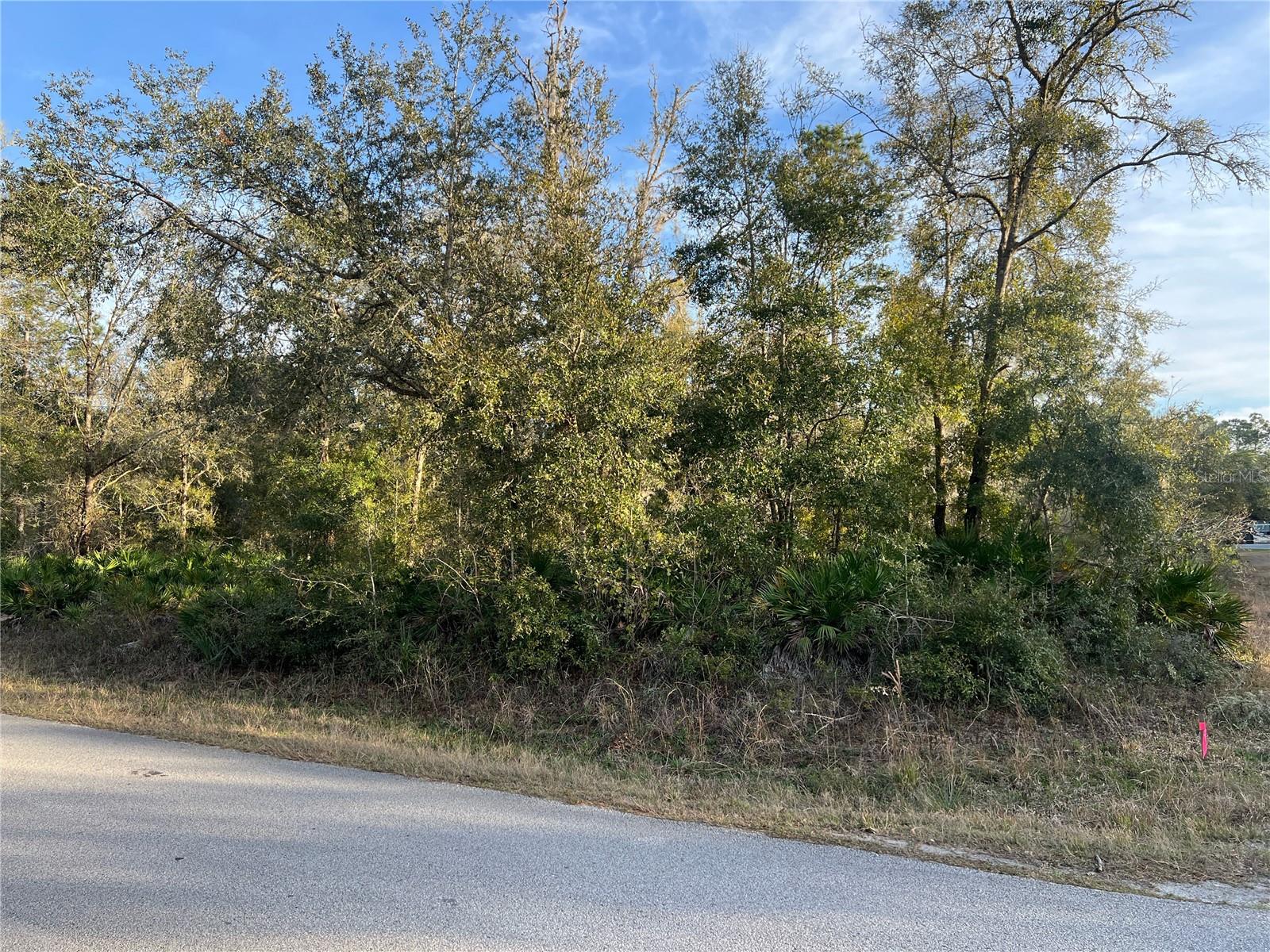 9919 N PINK MOSS PT, CRYSTAL RIVER, FL, 34428