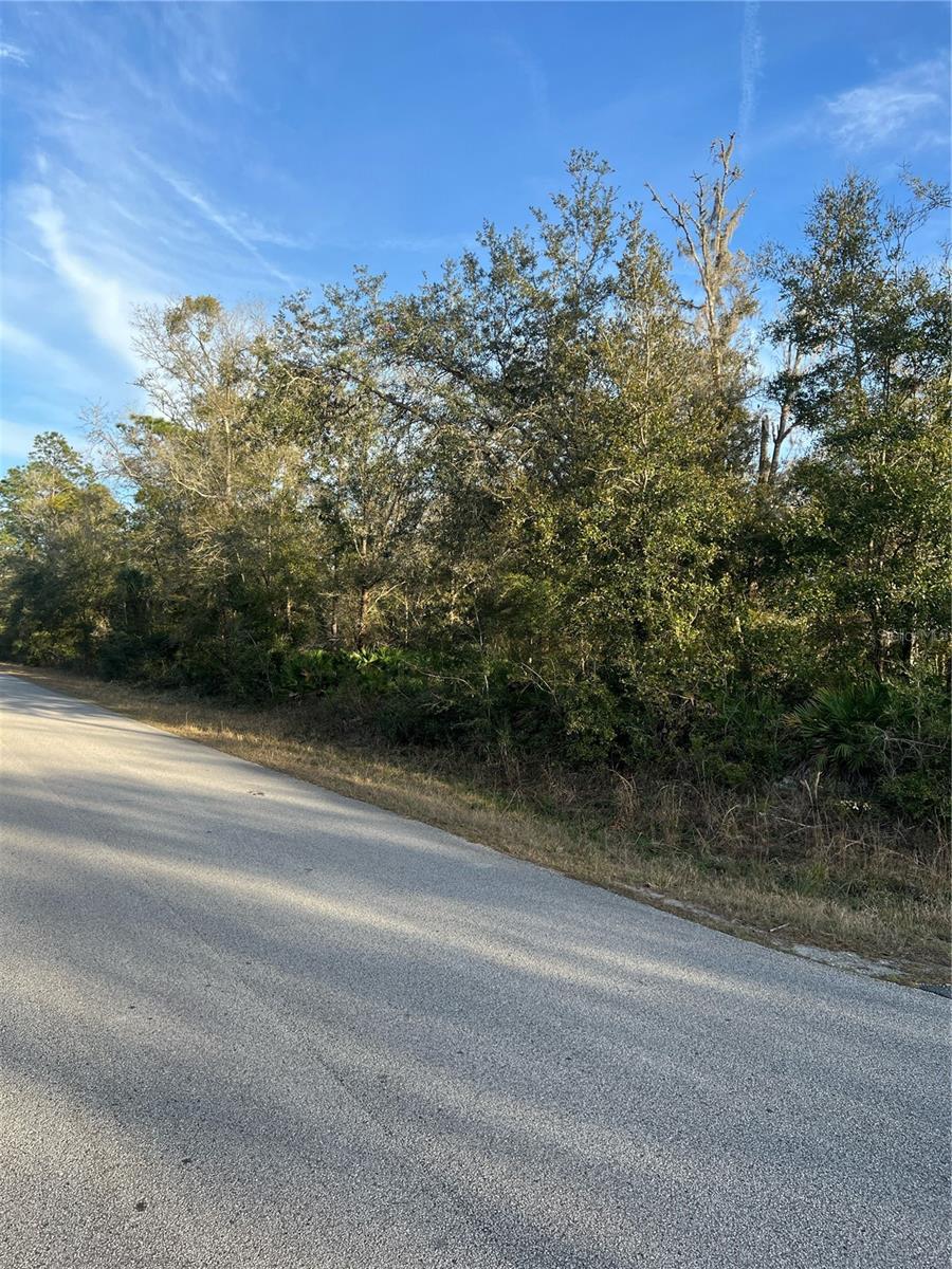 9919 N PINK MOSS PT, CRYSTAL RIVER, FL, 34428