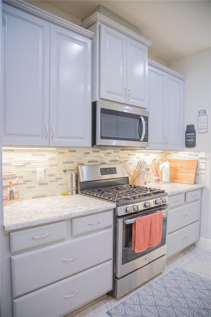 4237 BALCONY BREEZE DR, LAND O LAKES, FL, 34638
