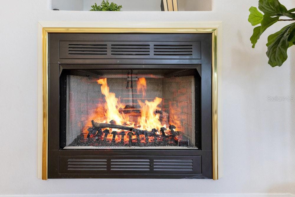 8209 TIVOLI DR, ORLANDO, FL, 32836