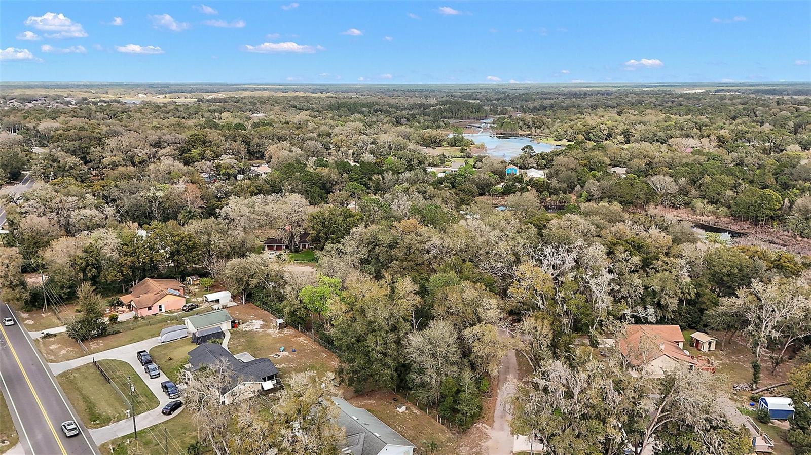 31029 LOCHMORE CIR, MOUNT PLYMOUTH, FL, 32776