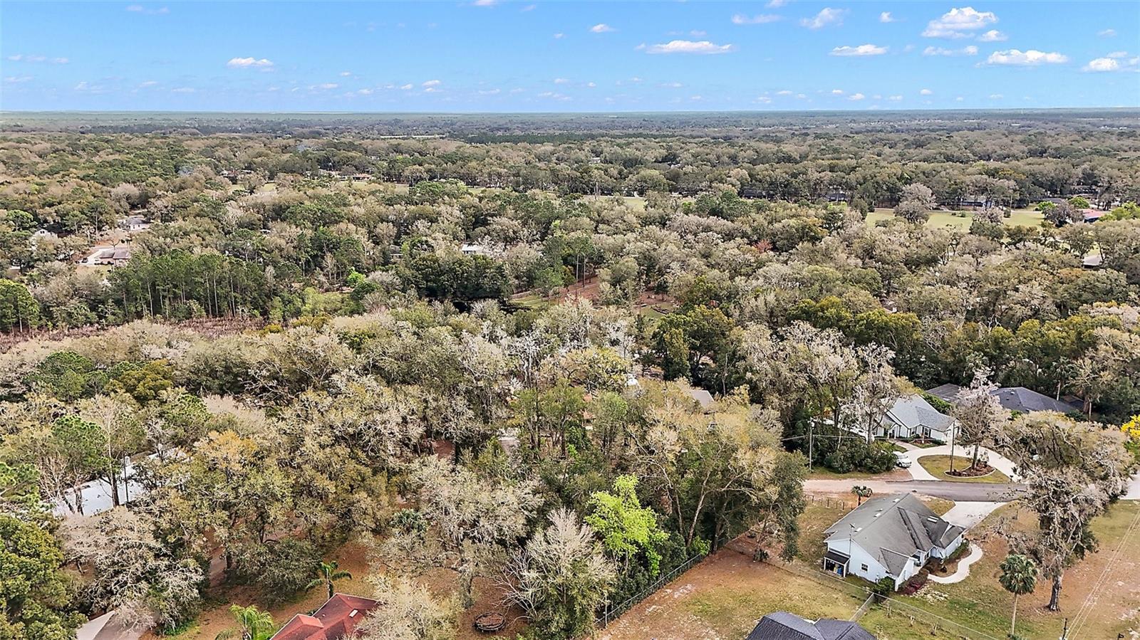 31029 LOCHMORE CIR, MOUNT PLYMOUTH, FL, 32776