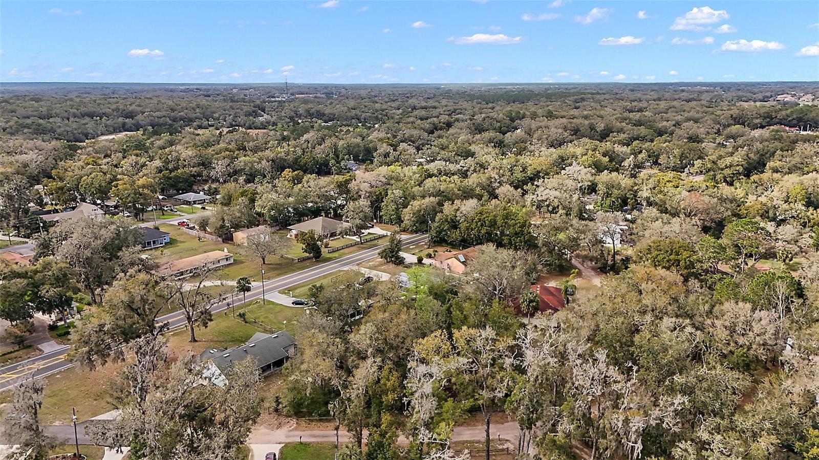 31029 LOCHMORE CIR, MOUNT PLYMOUTH, FL, 32776