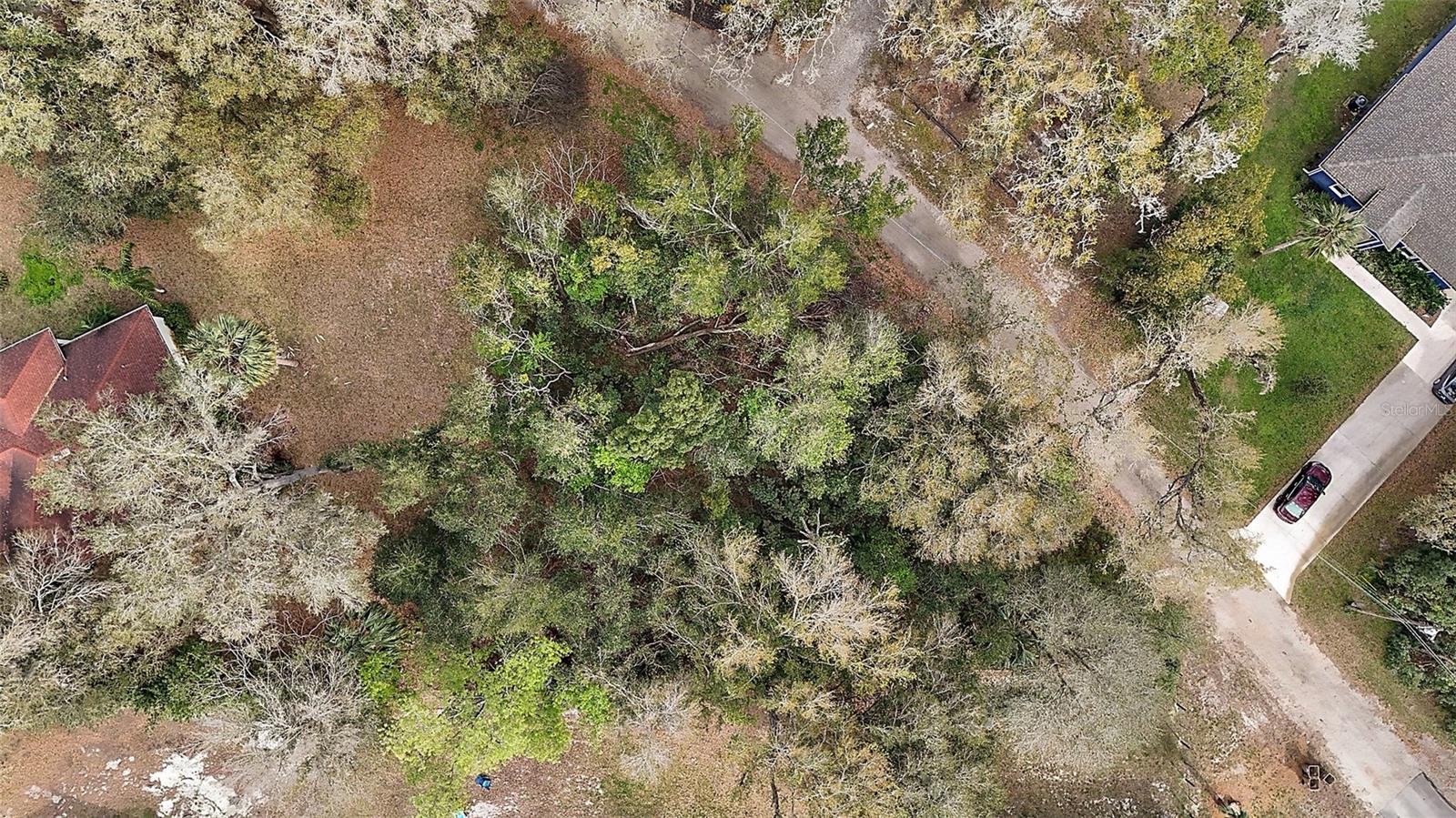 31029 LOCHMORE CIR, MOUNT PLYMOUTH, FL, 32776