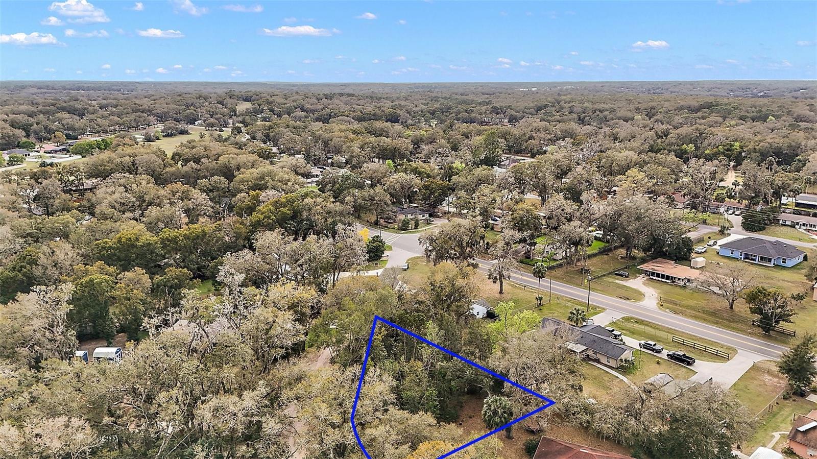 31029 LOCHMORE CIR, MOUNT PLYMOUTH, FL, 32776