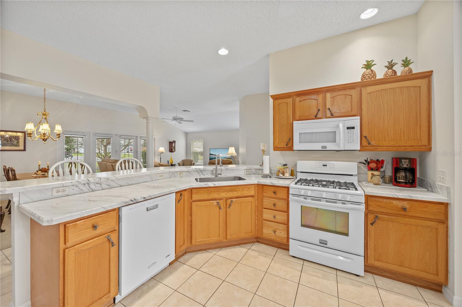 1700 NORFOLK AVE, THE VILLAGES, FL, 32162