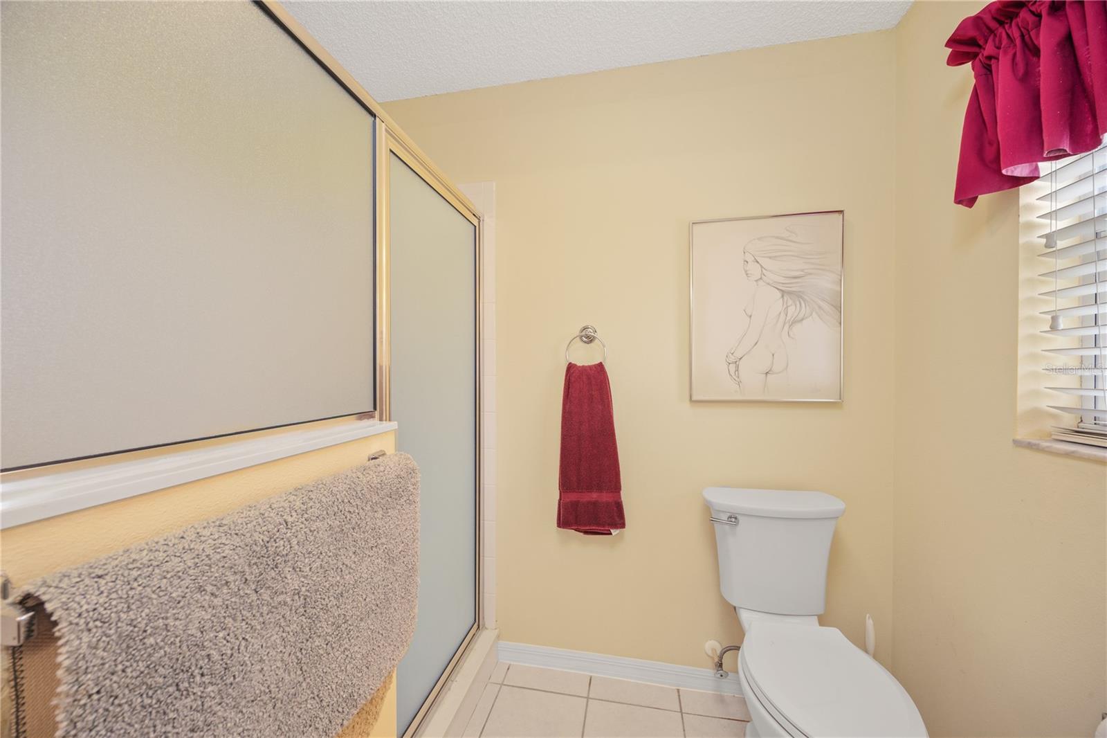 1700 NORFOLK AVE, THE VILLAGES, FL, 32162