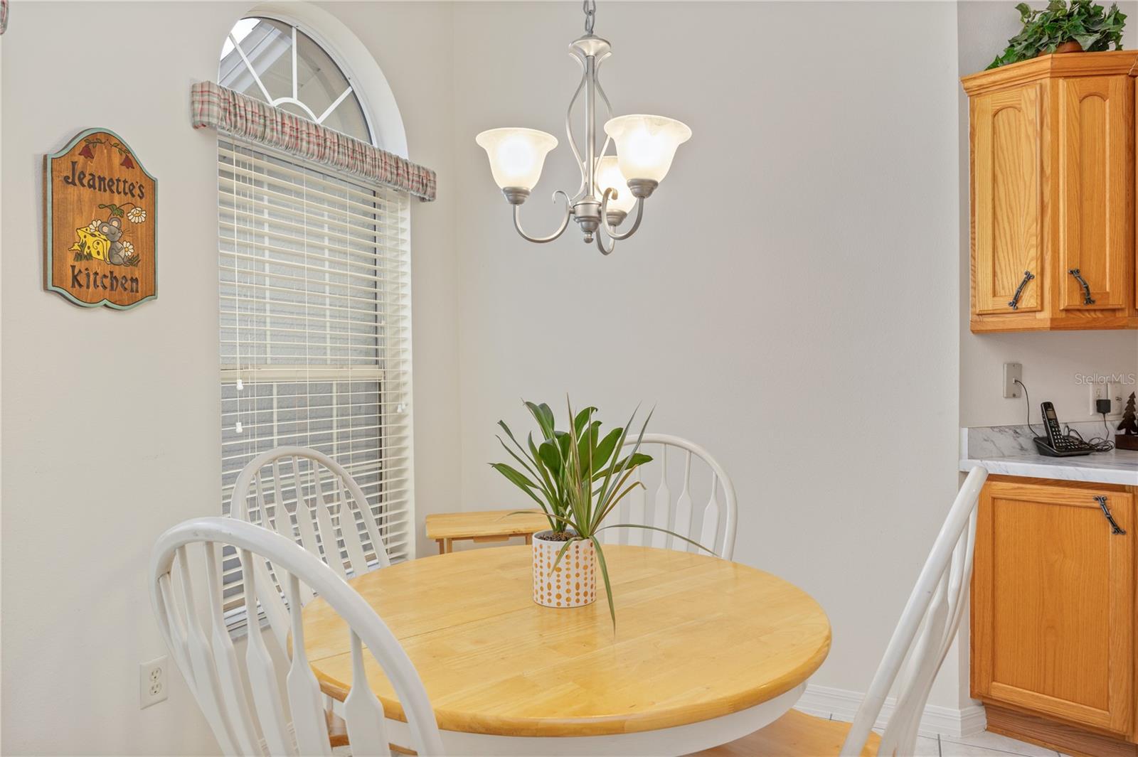 1700 NORFOLK AVE, THE VILLAGES, FL, 32162