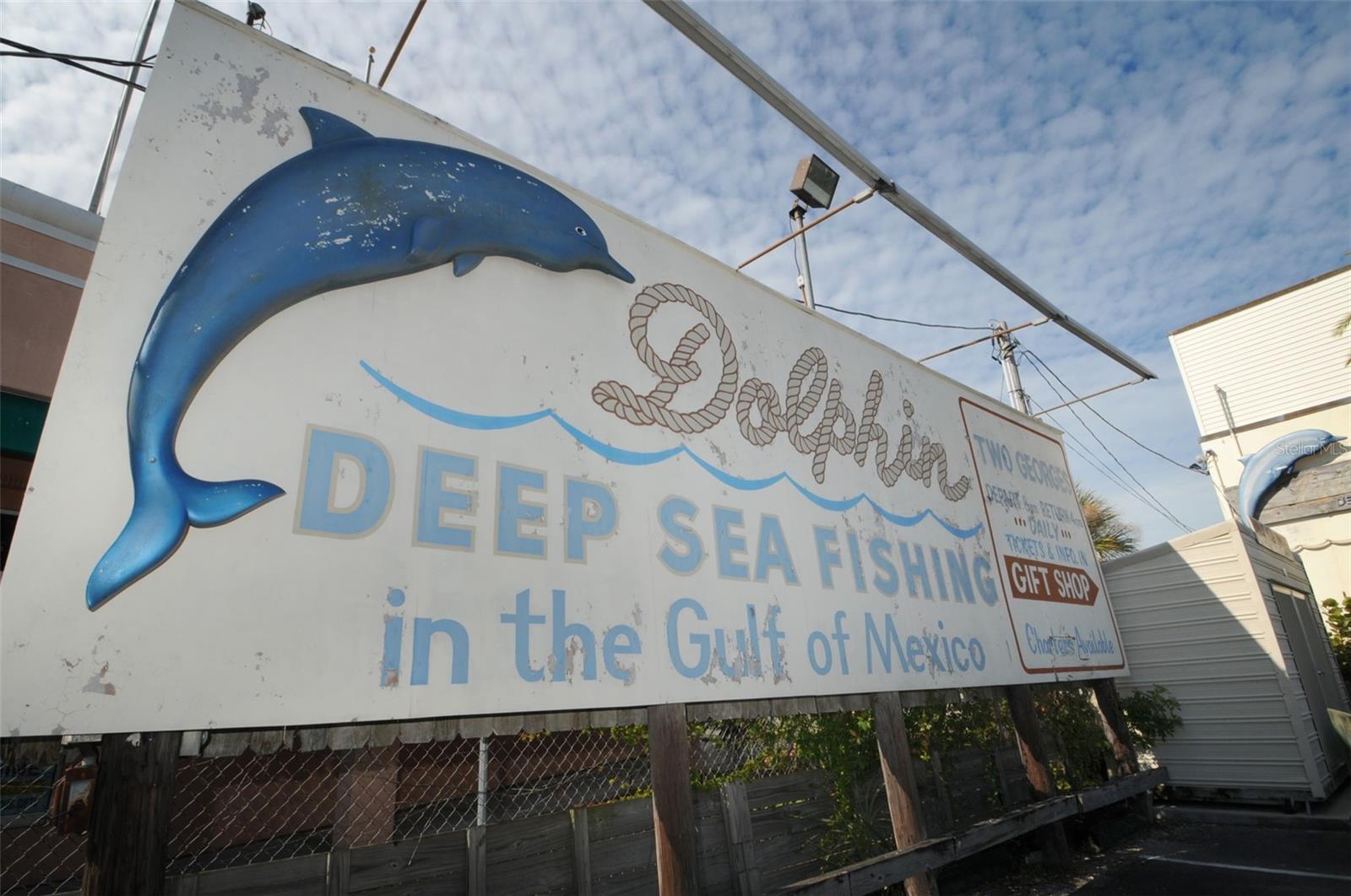 1306 COPPERTREE DR, TARPON SPRINGS, FL, 34689