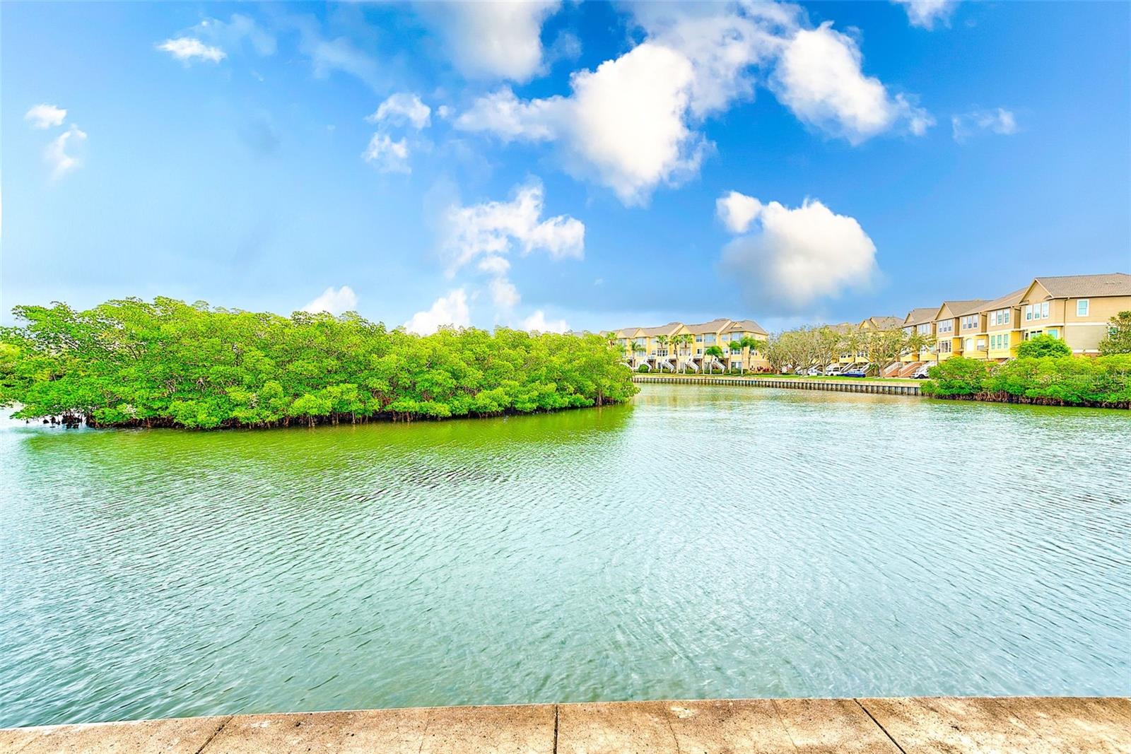 8810 BAY POINTE DR #B209, TAMPA, FL, 33615