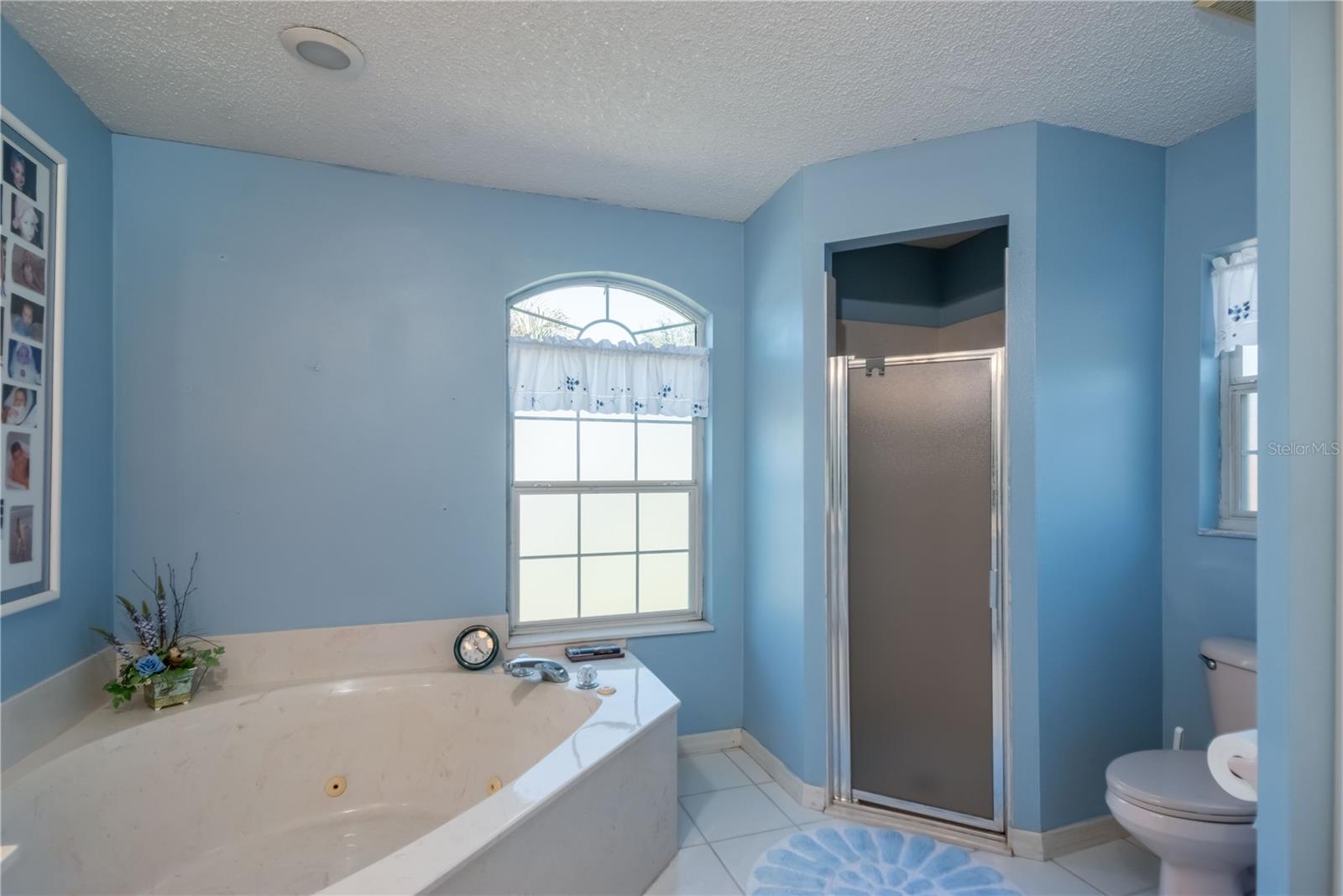 13677 SW 40TH AVENUE RD, OCALA, FL, 34473