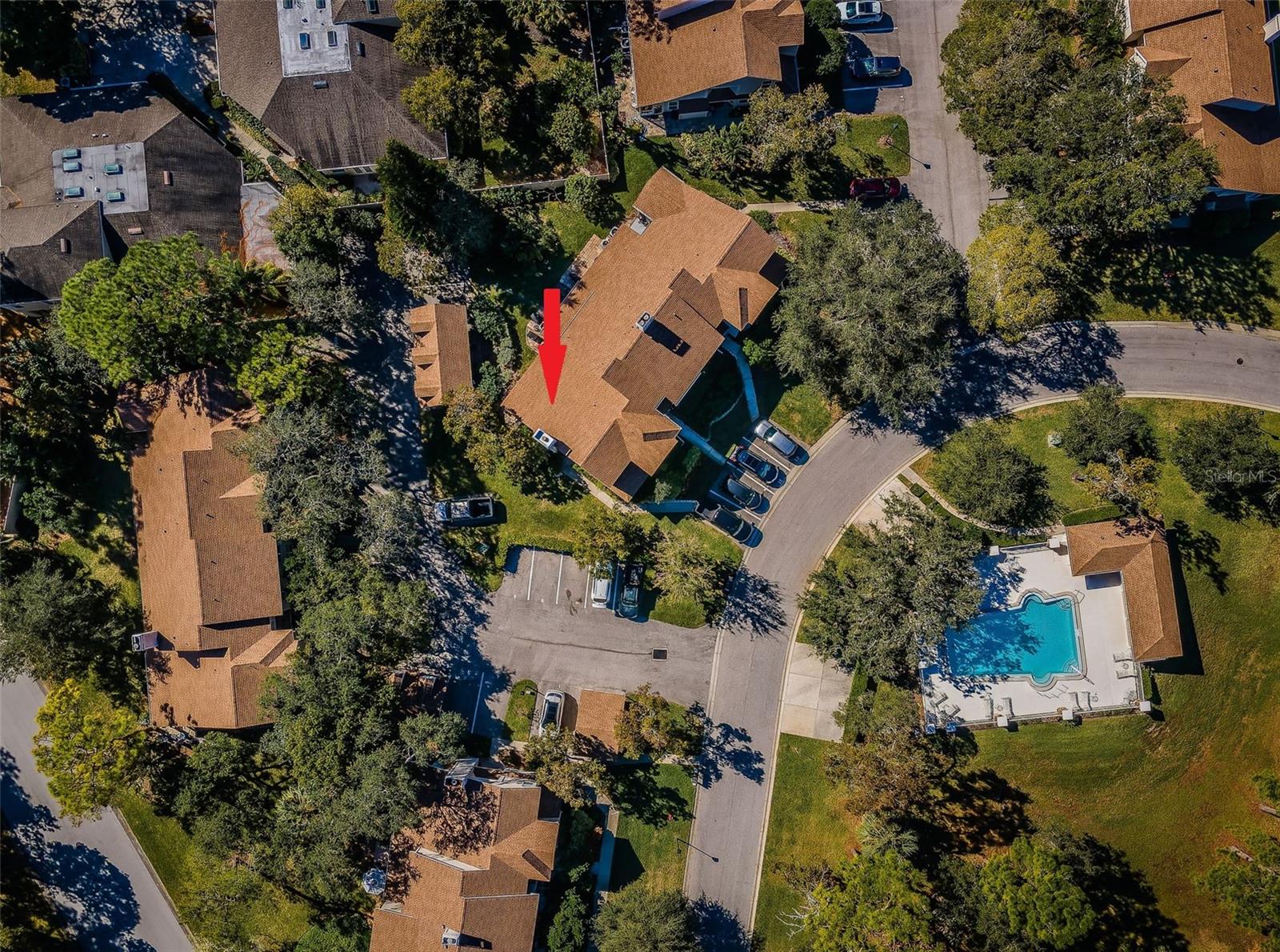 2180 CLOVER HILL RD, PALM HARBOR, FL, 34683