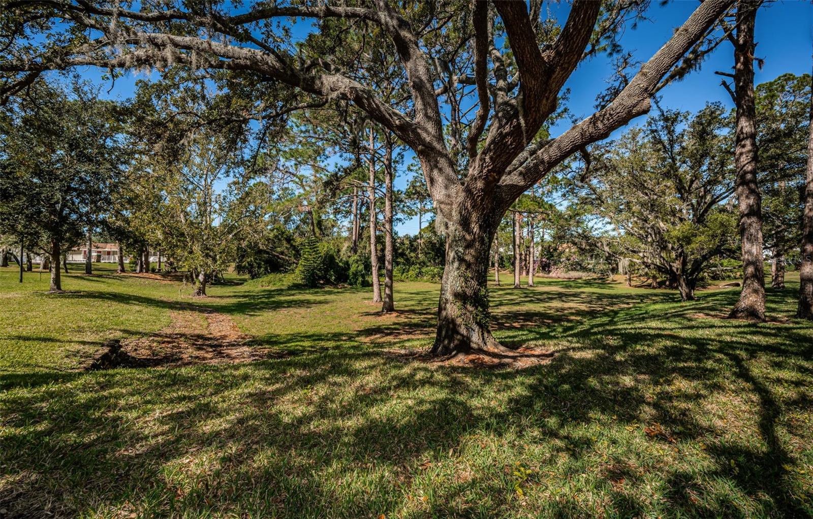 2180 CLOVER HILL RD, PALM HARBOR, FL, 34683