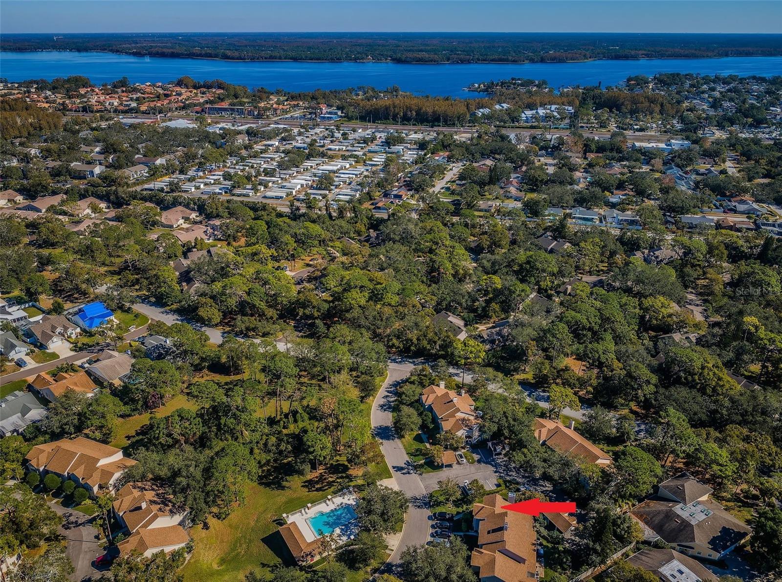 2180 CLOVER HILL RD, PALM HARBOR, FL, 34683