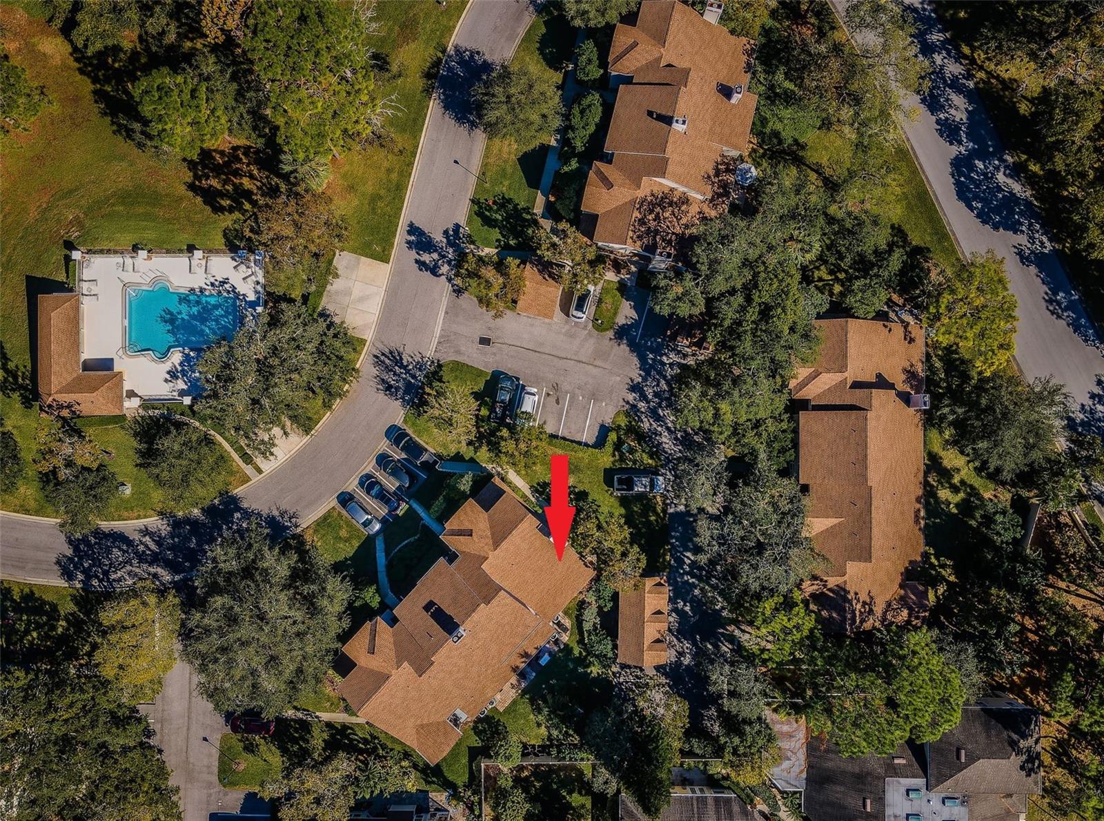 2180 CLOVER HILL RD, PALM HARBOR, FL, 34683