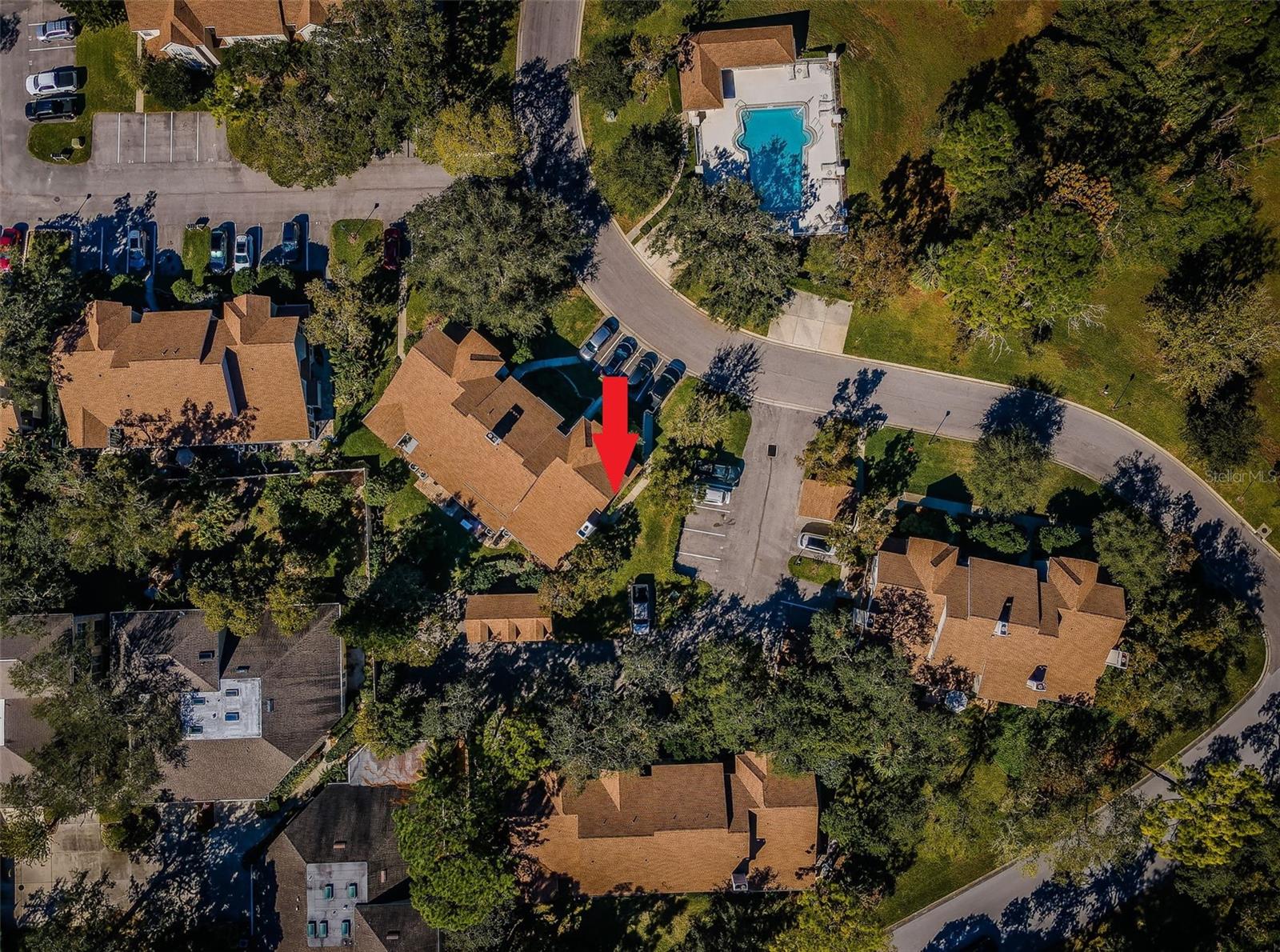 2180 CLOVER HILL RD, PALM HARBOR, FL, 34683