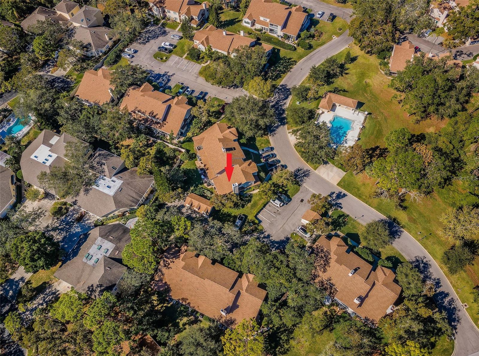 2180 CLOVER HILL RD, PALM HARBOR, FL, 34683