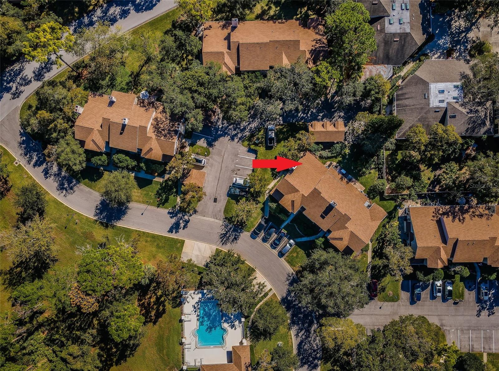 2180 CLOVER HILL RD, PALM HARBOR, FL, 34683