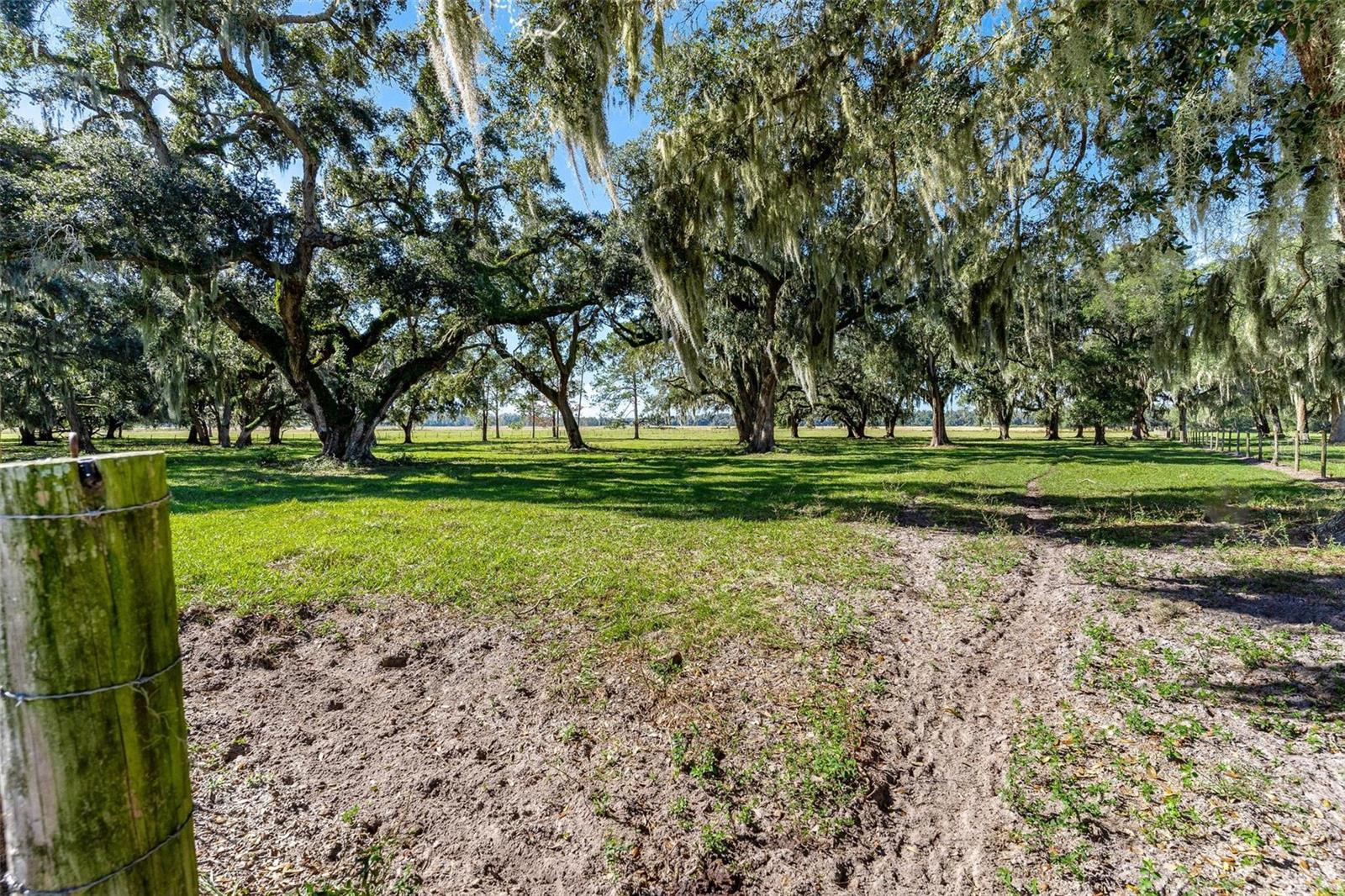 4968 CR 577, CENTER HILL, FL, 33514