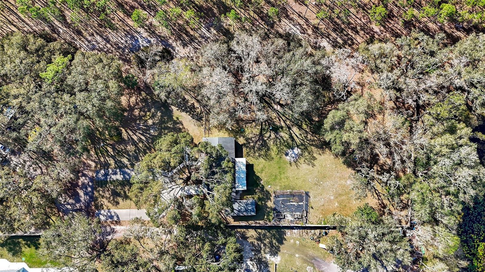 18802 CARR DR, LUTZ, FL, 33559