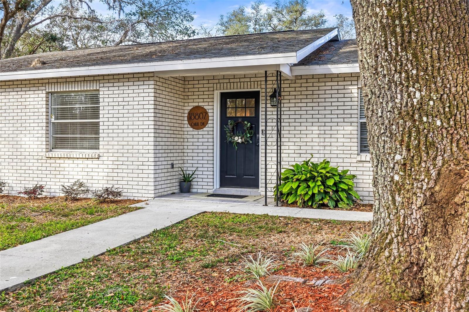 18802 CARR DR, LUTZ, FL, 33559