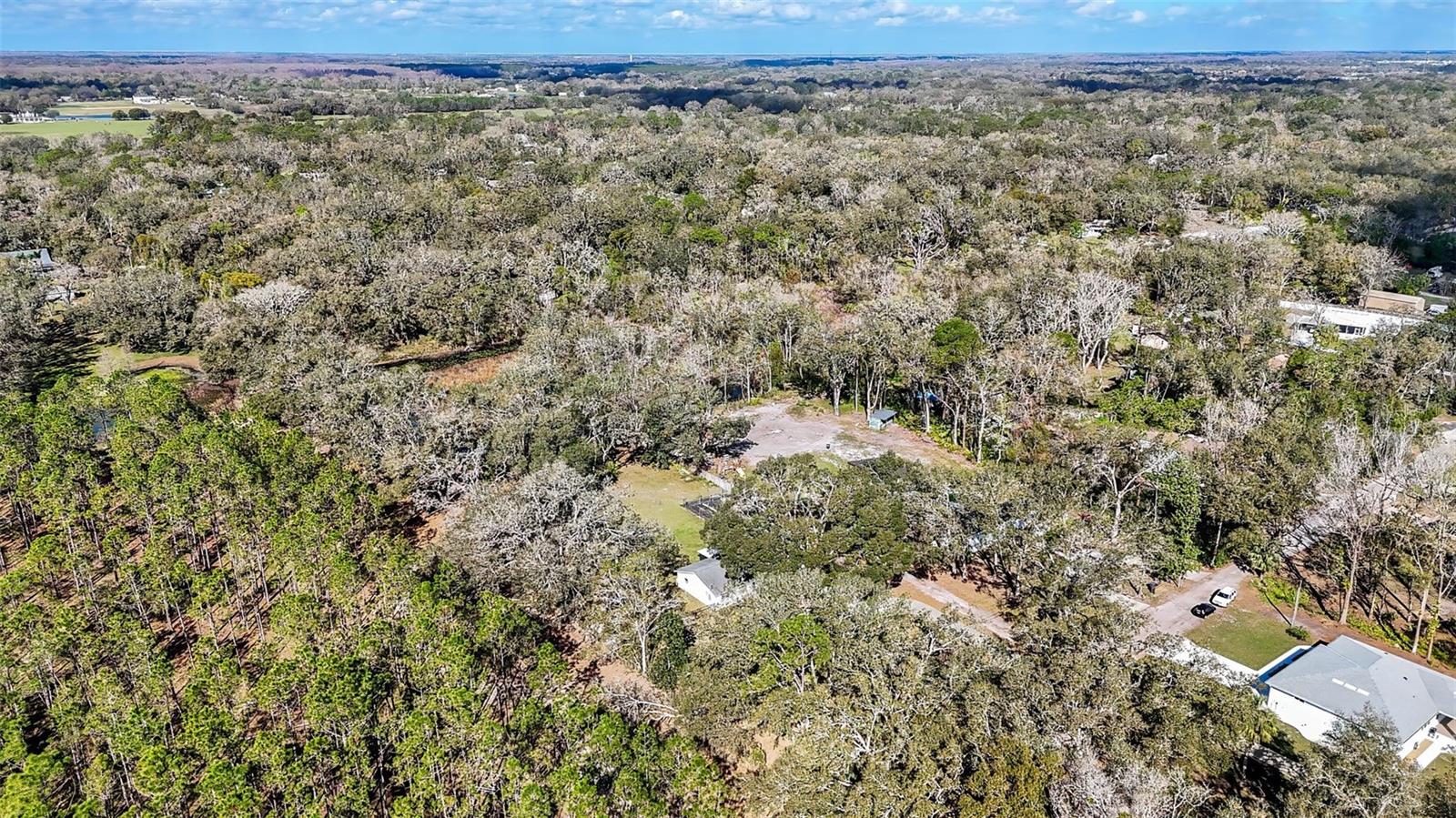 18802 CARR DR, LUTZ, FL, 33559